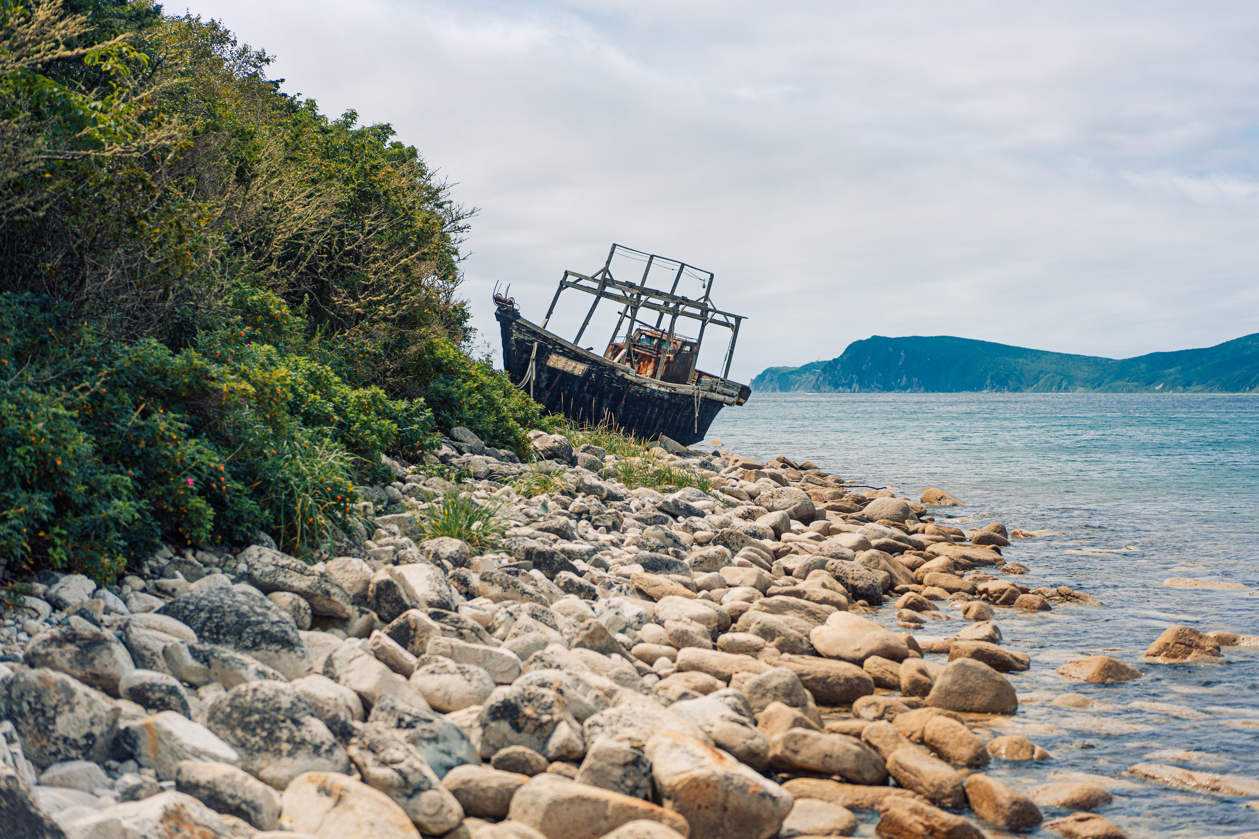 Тисовая роща | Остров Петрова. Иван Зайцев (IZIART) — создание культурного кода через фото и видео