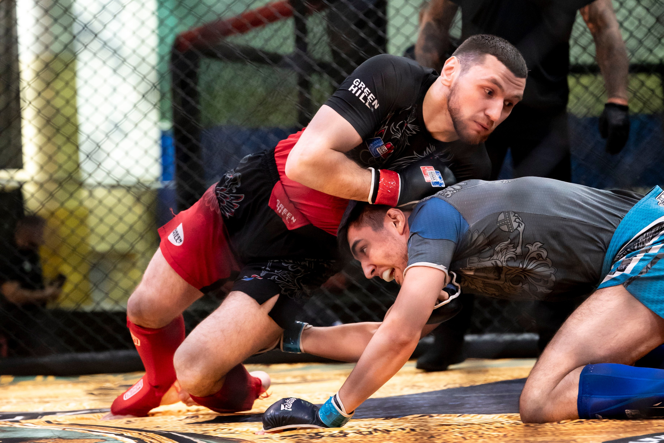 Всероссийский турнир ММА. Новомосковск, ноябрь 2025. Спортивный фотограф в Туле и Тульской области. Файсханова Фото Спорт