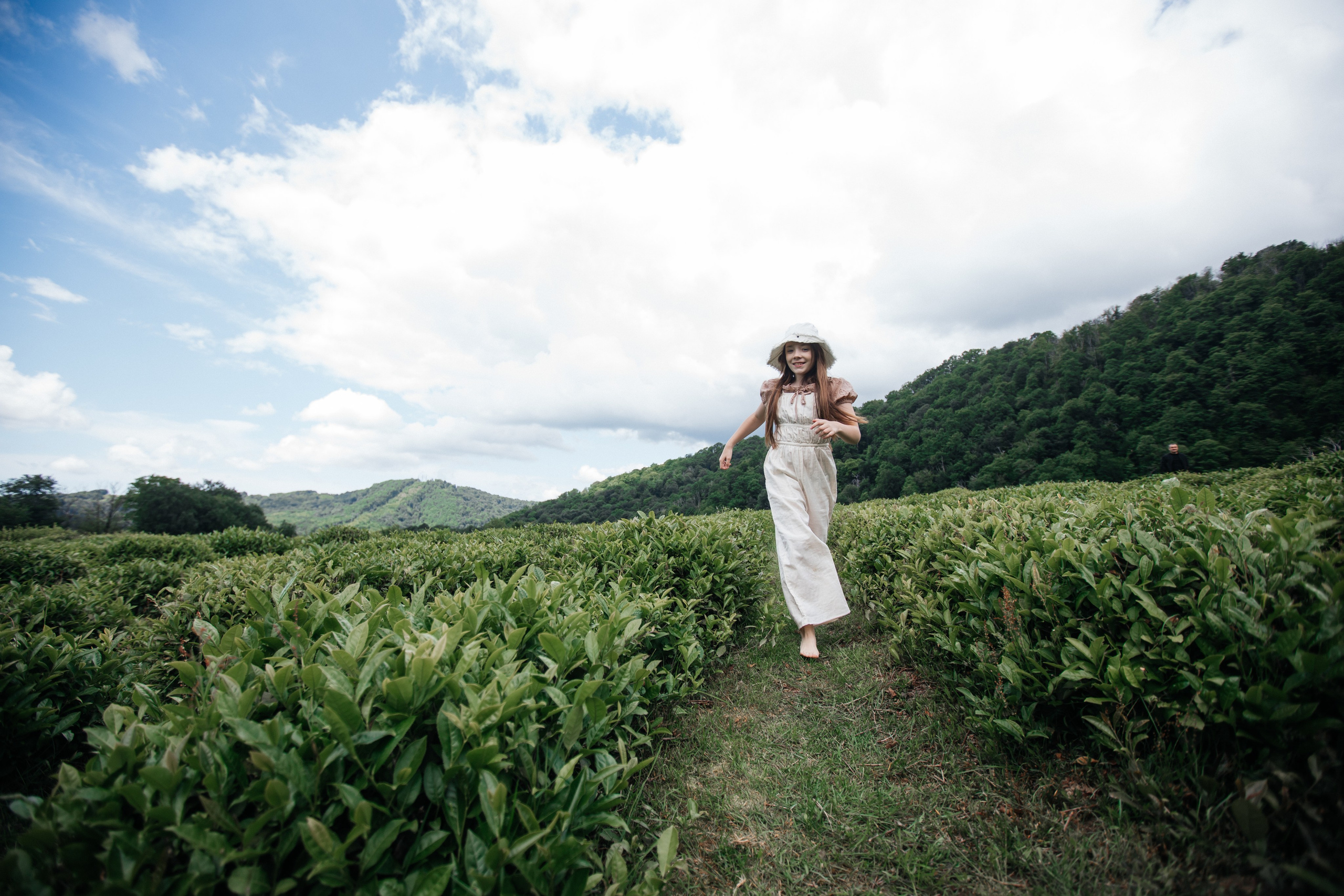 Tea plantation. Efimova Model Agency