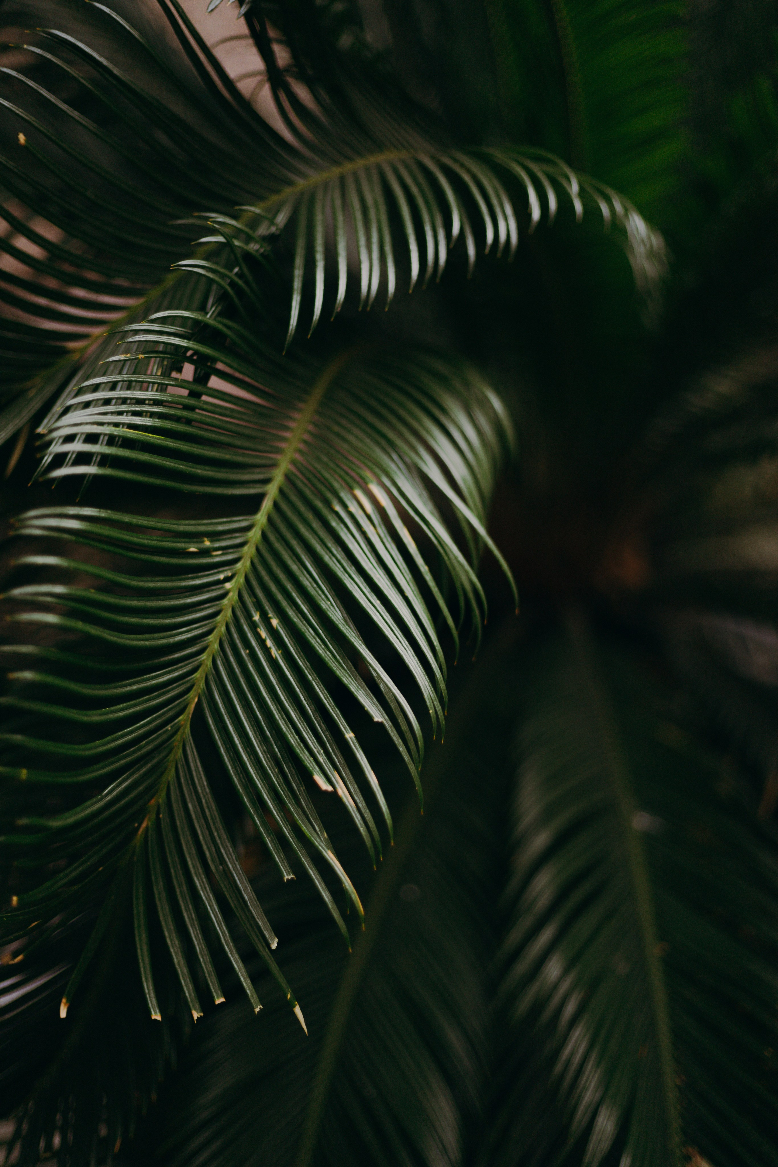 Стамбул. Профессиональный Фотограф во Владимире, в Москве и в Суздале — Полина Романычева