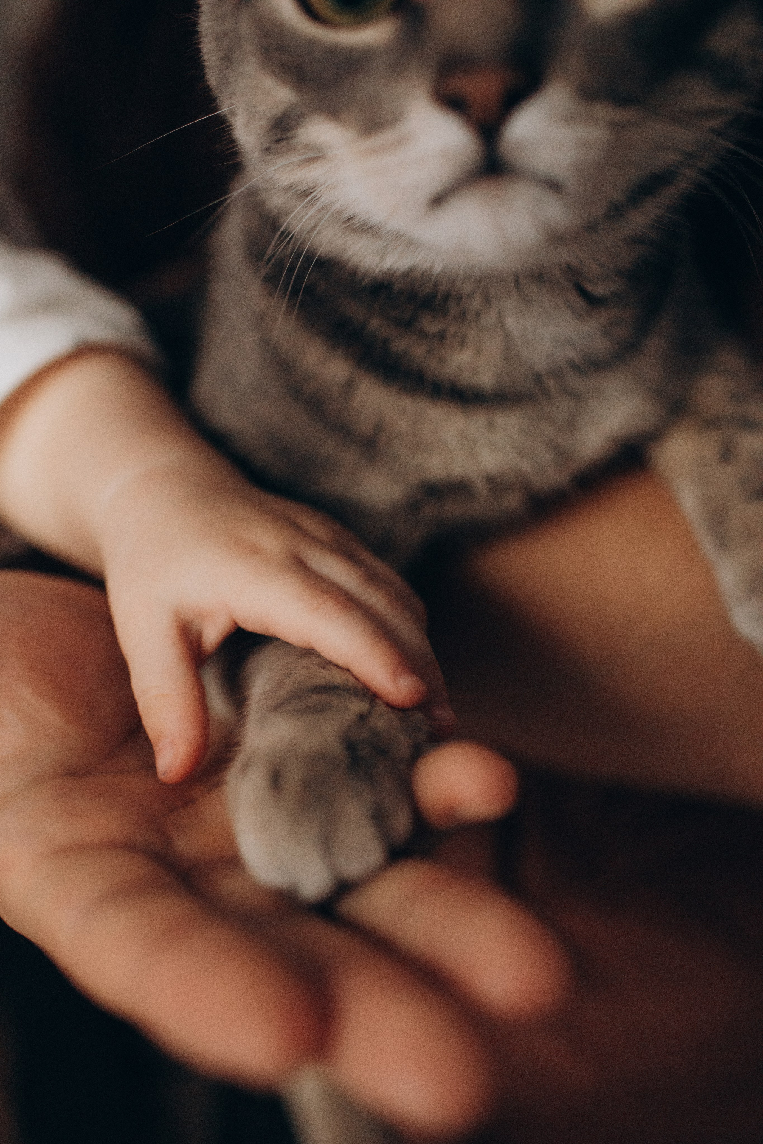 Мише годик!. Семейный фотограф в Челябинске Ксения Зубкова