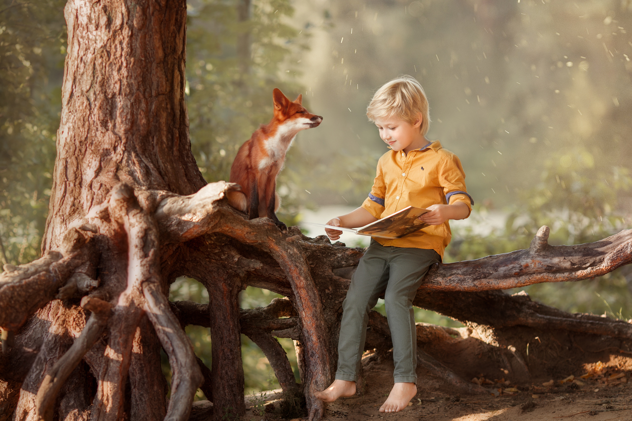 Детский и семейный фотограф Александра Грекова