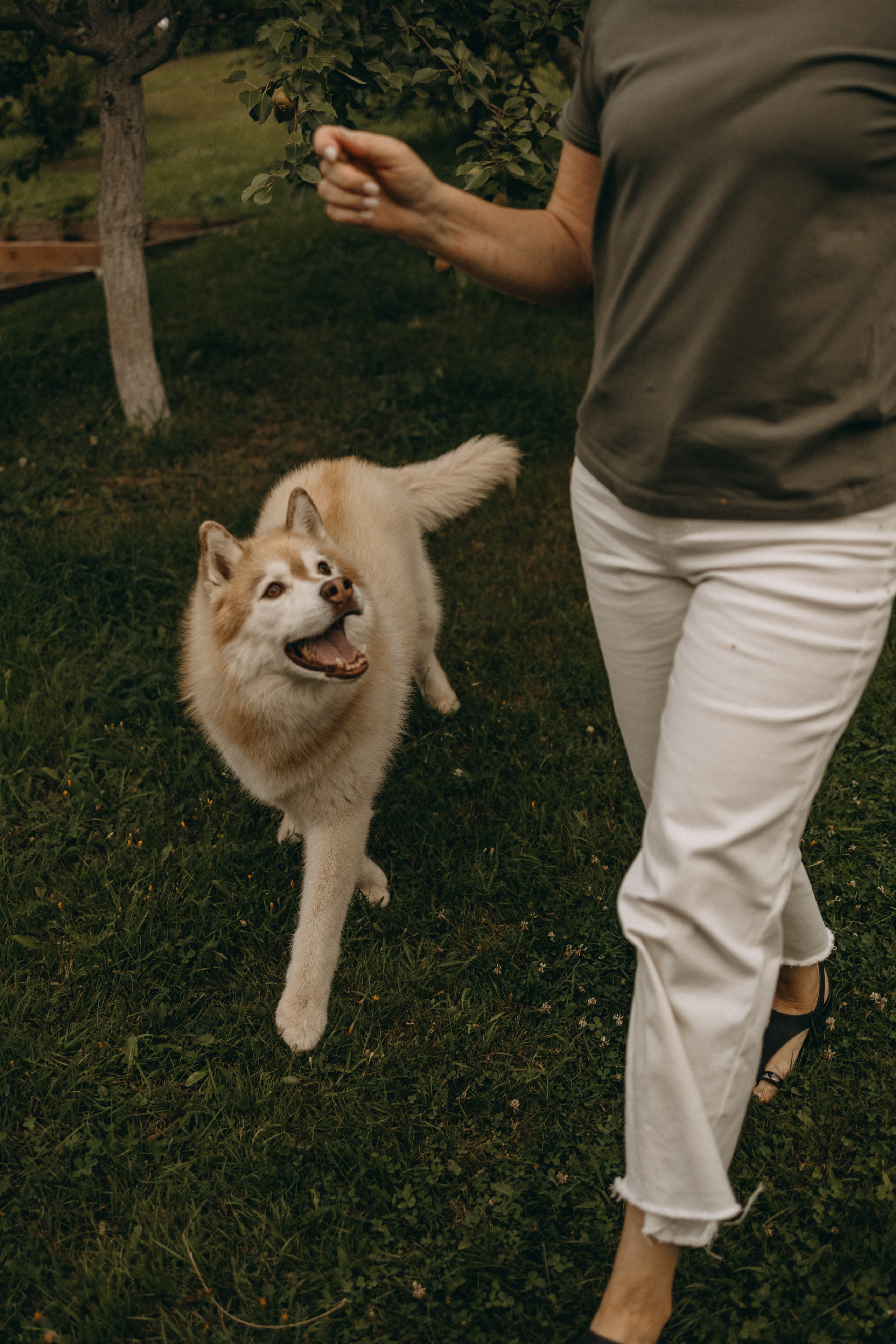 Дом у реки. Фотограф — Анималист | Санкт-Петербург