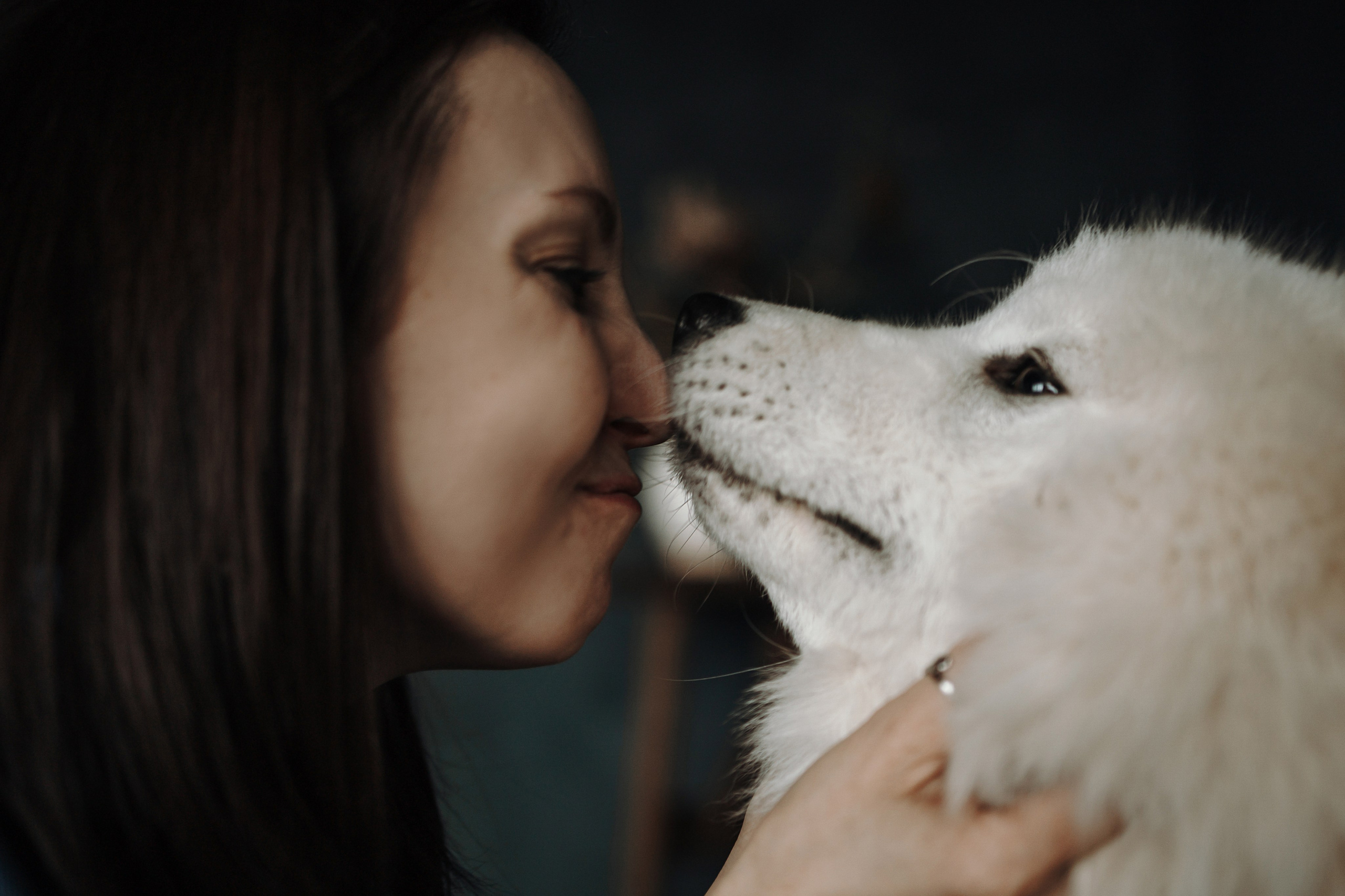 Марина и Мушу. Фотограф — Анималист | Санкт-Петербург