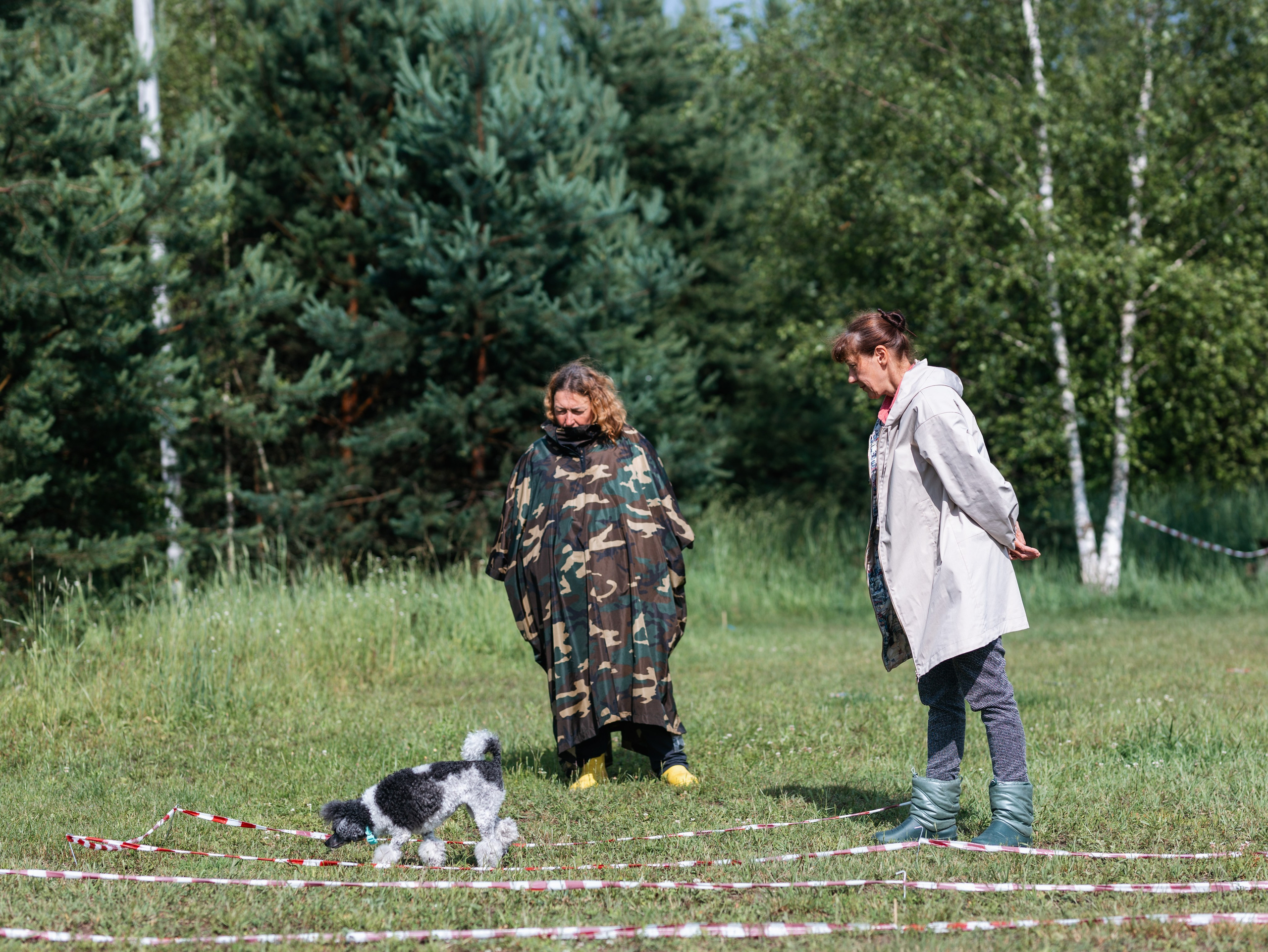 Лагерь ноузворк. Фотограф-анималист в Москве Кириллова Татьяна