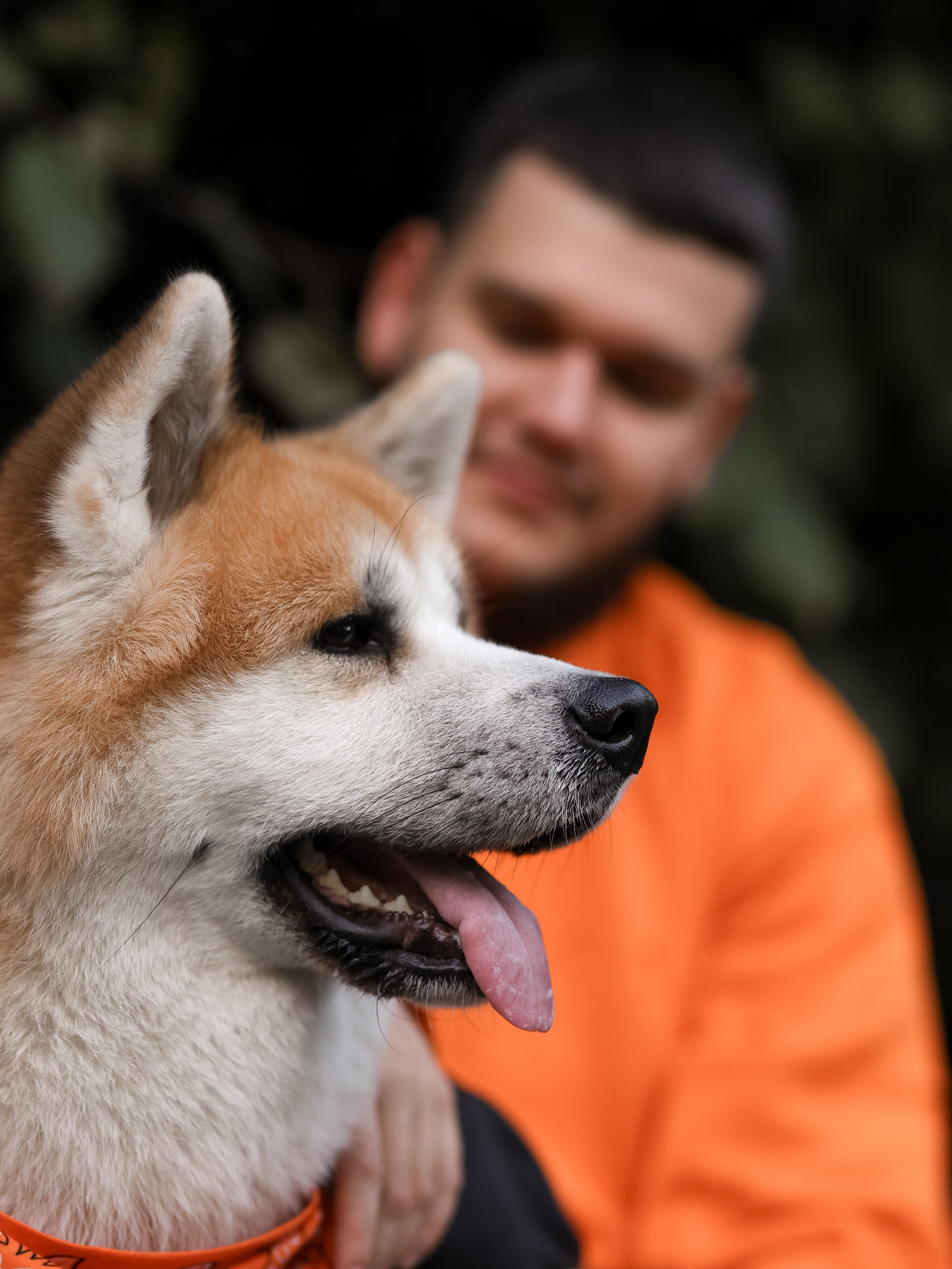 Гранд, Вика и Степан. Фотограф-анималист в Москве Кириллова Татьяна