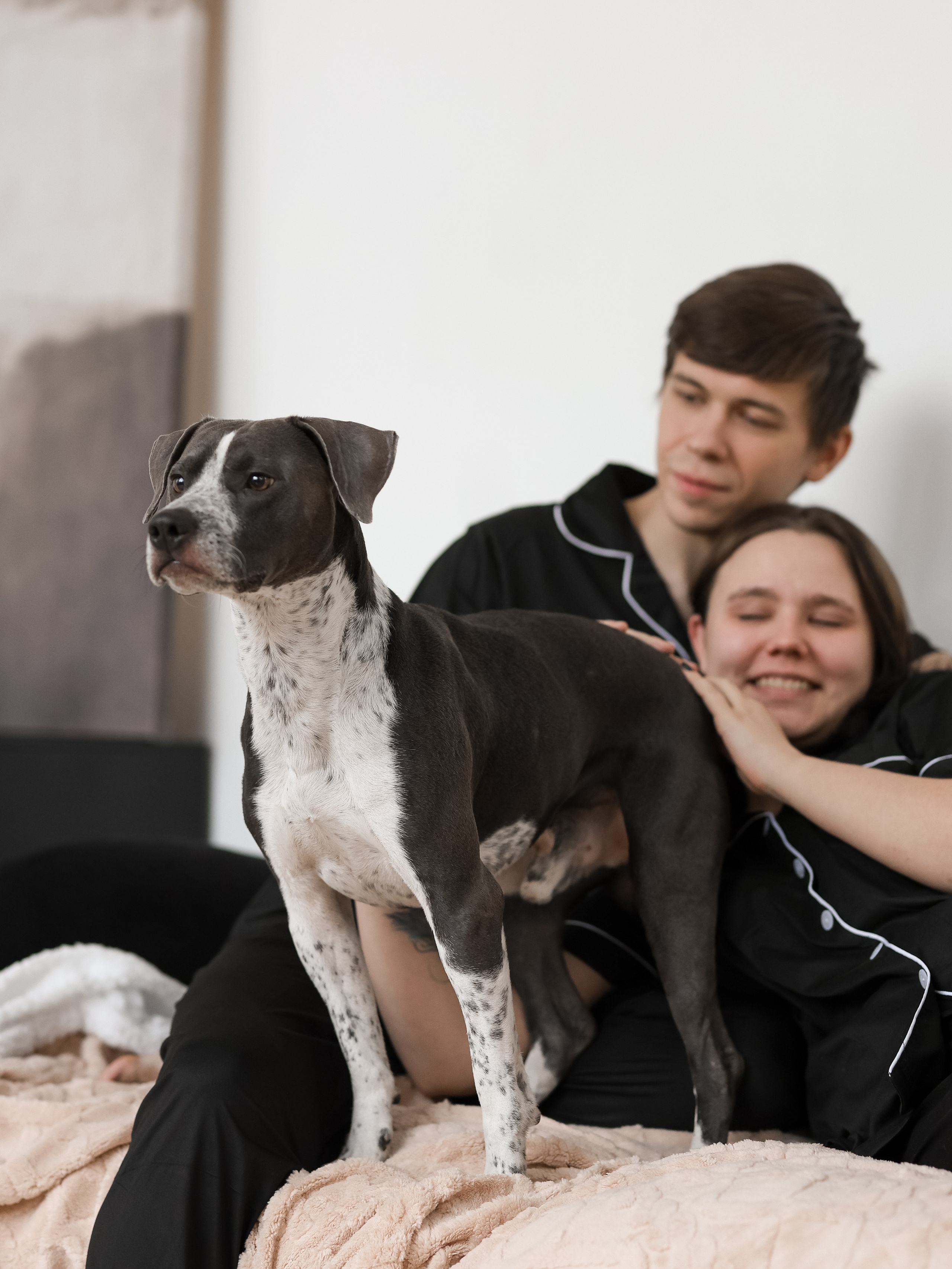 Тортик Даша и Никита. Фотограф-анималист в Москве Кириллова Татьяна