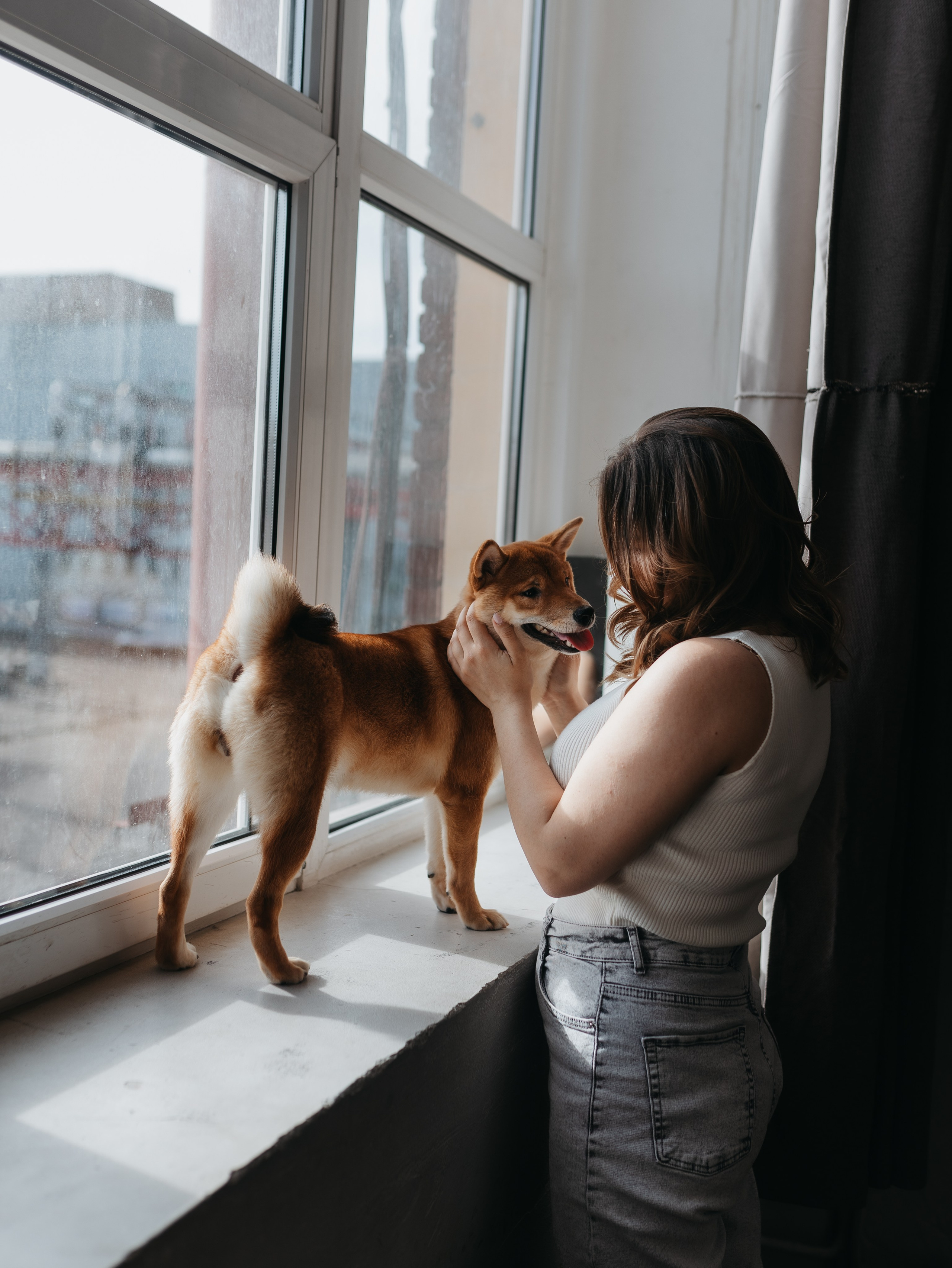 Мика и Настя. Фотограф-анималист в Москве Кириллова Татьяна