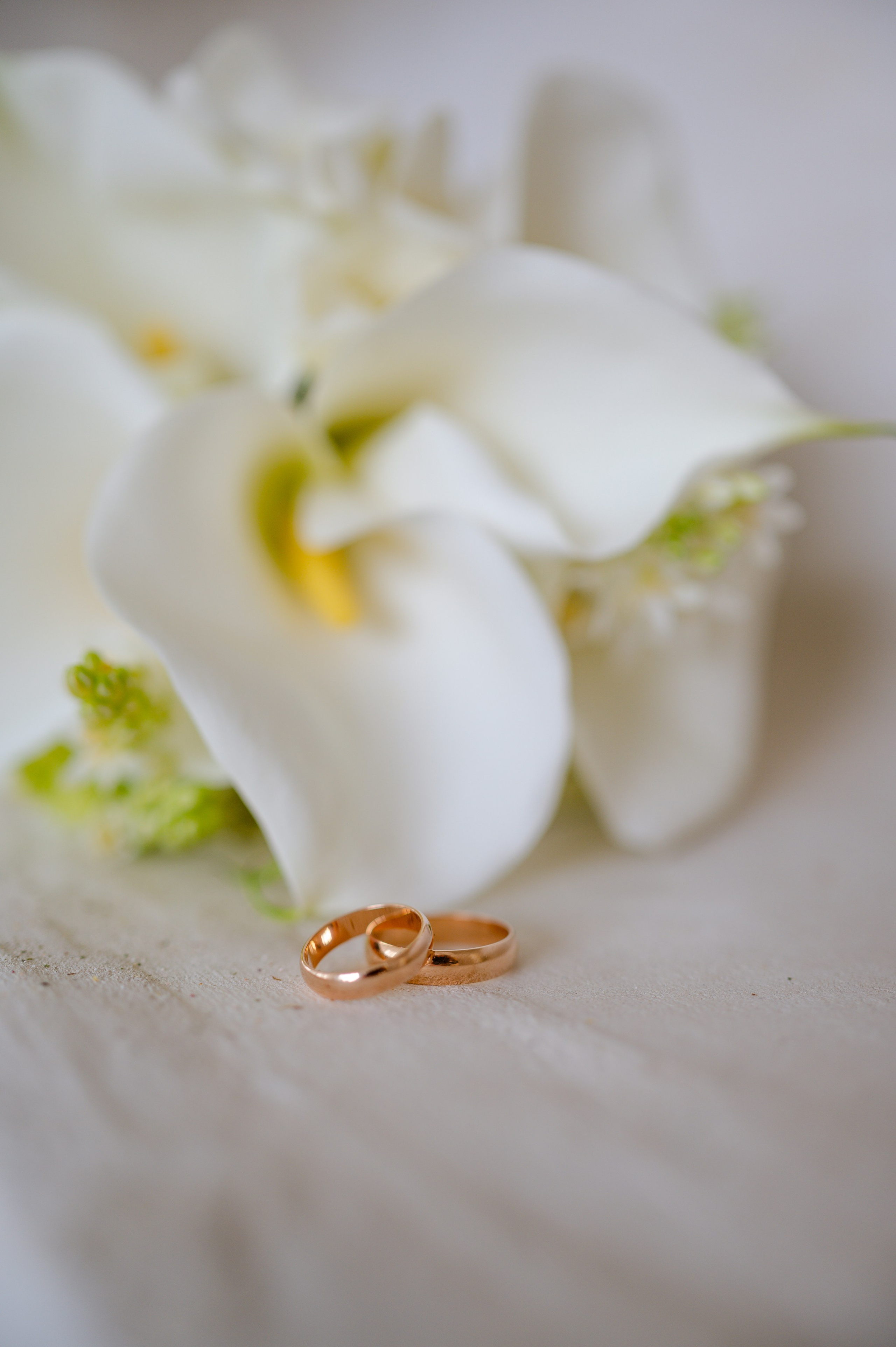 Маргарита и Александр. Lifestyle фотограф