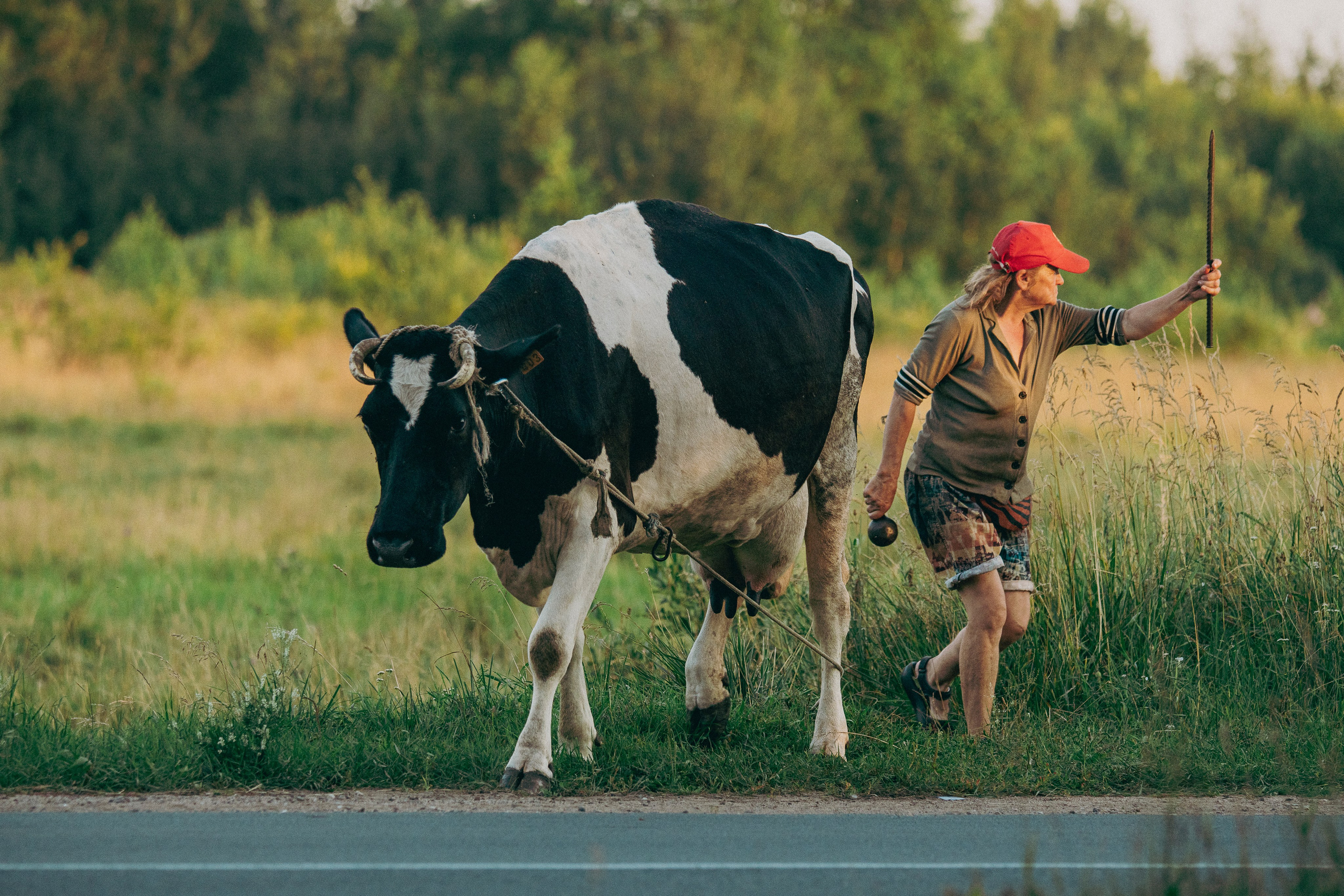 Цветные фотографии. Фотографии Лены Соколовой