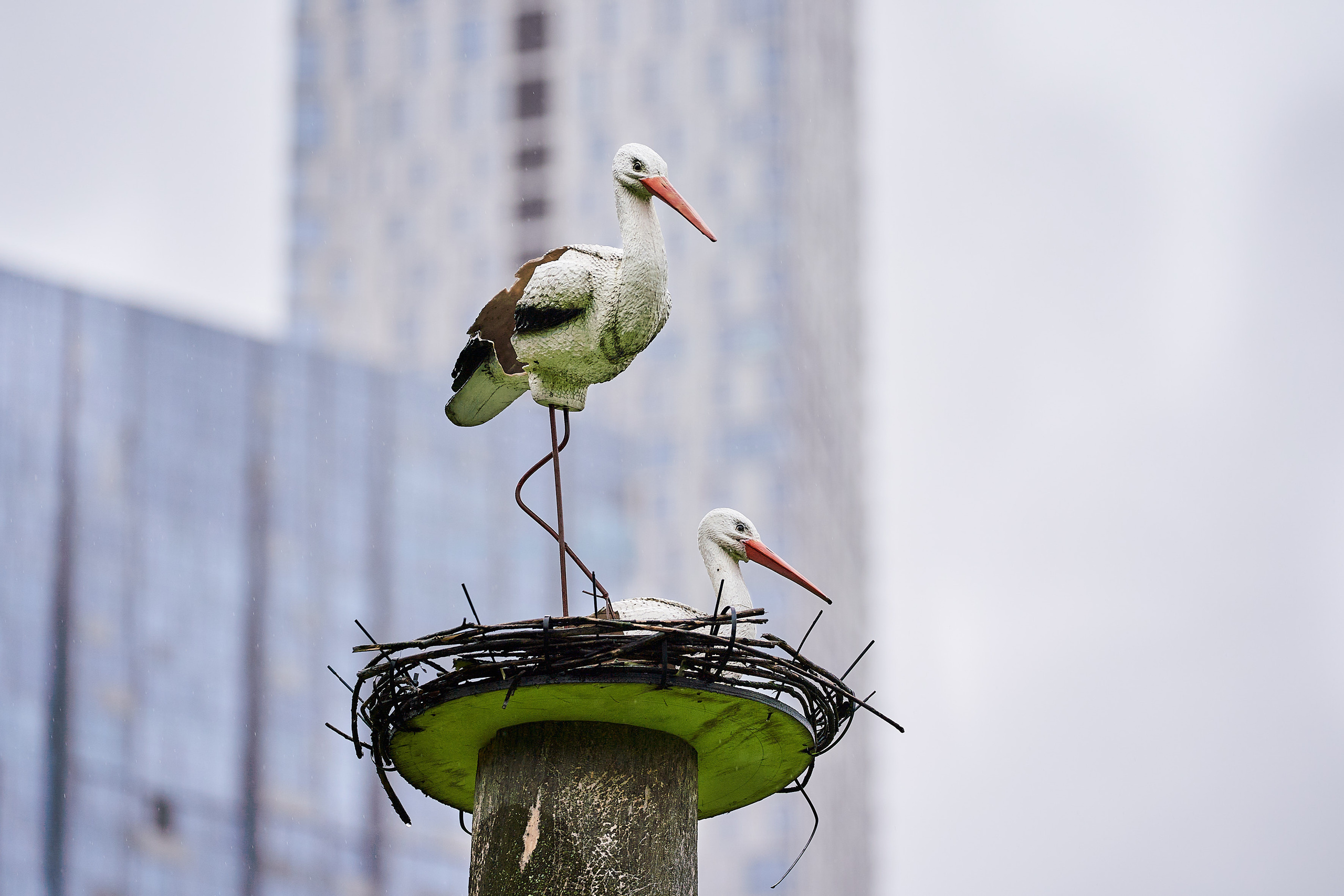 Спортивные мероприятия. Репортажный фотограф в Москве Сергеев Илья