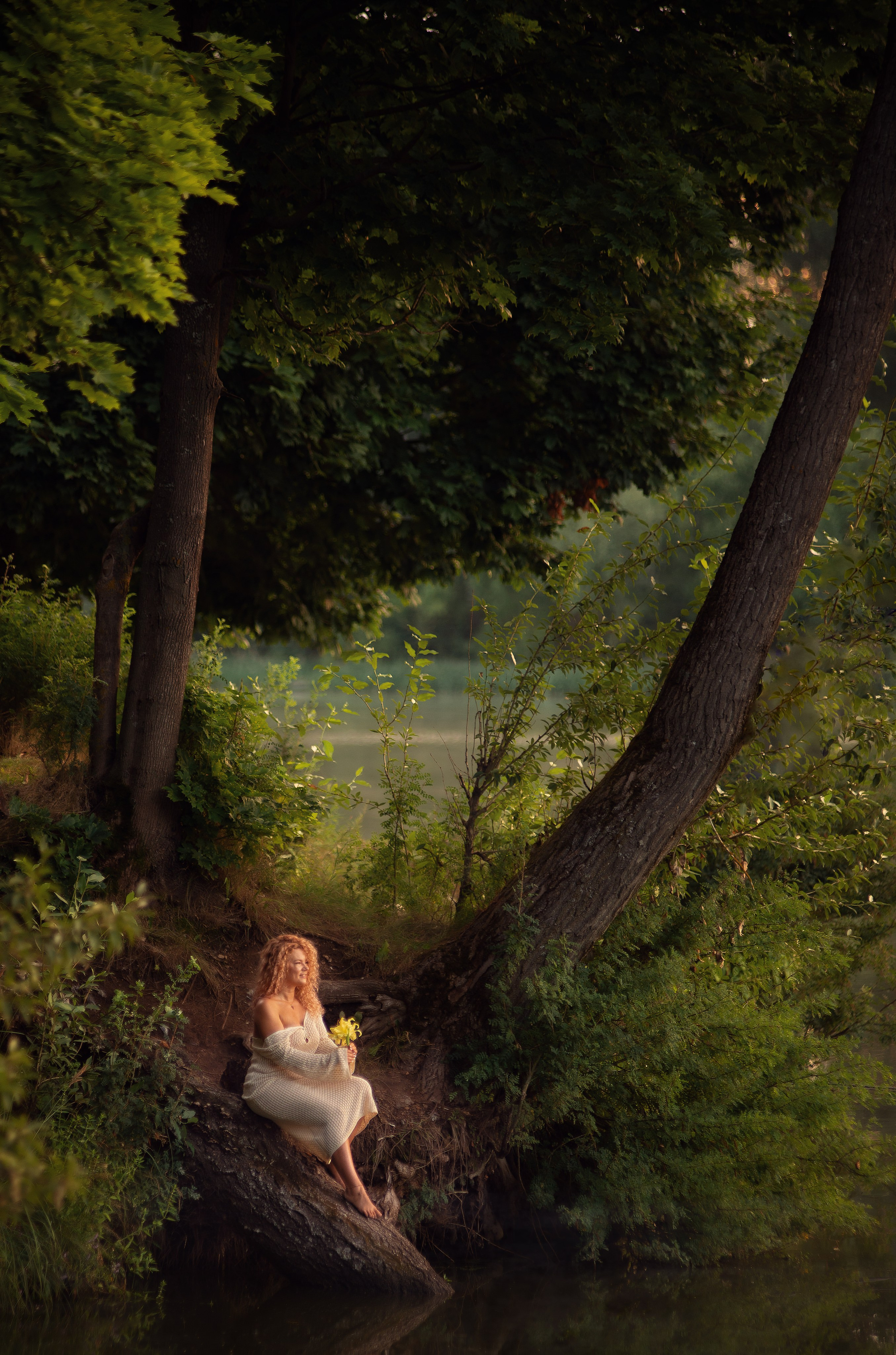 Рассветы...... Главная