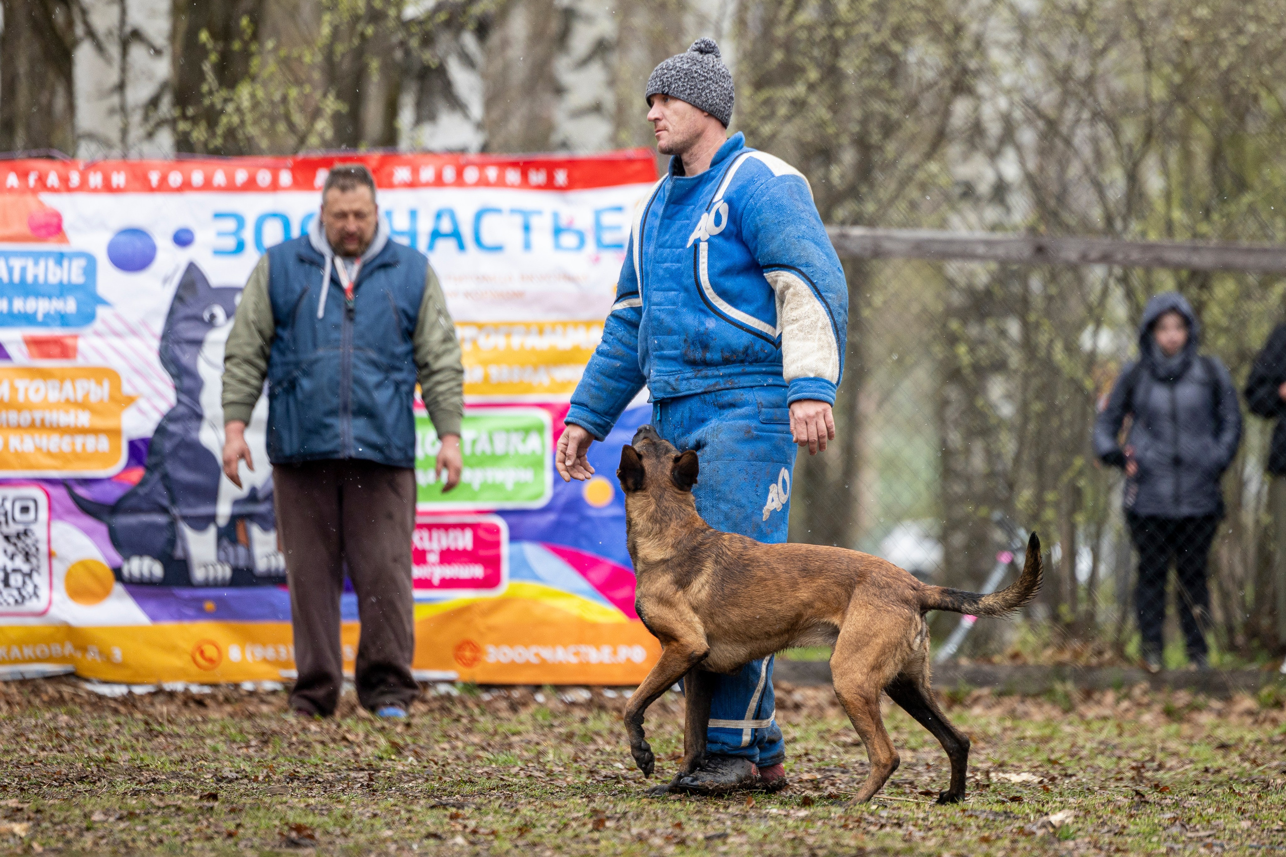 Квалификационные состязания по мондьорингу г. Вологда 11.05.24. Фотограф-анималист Анна Маринич