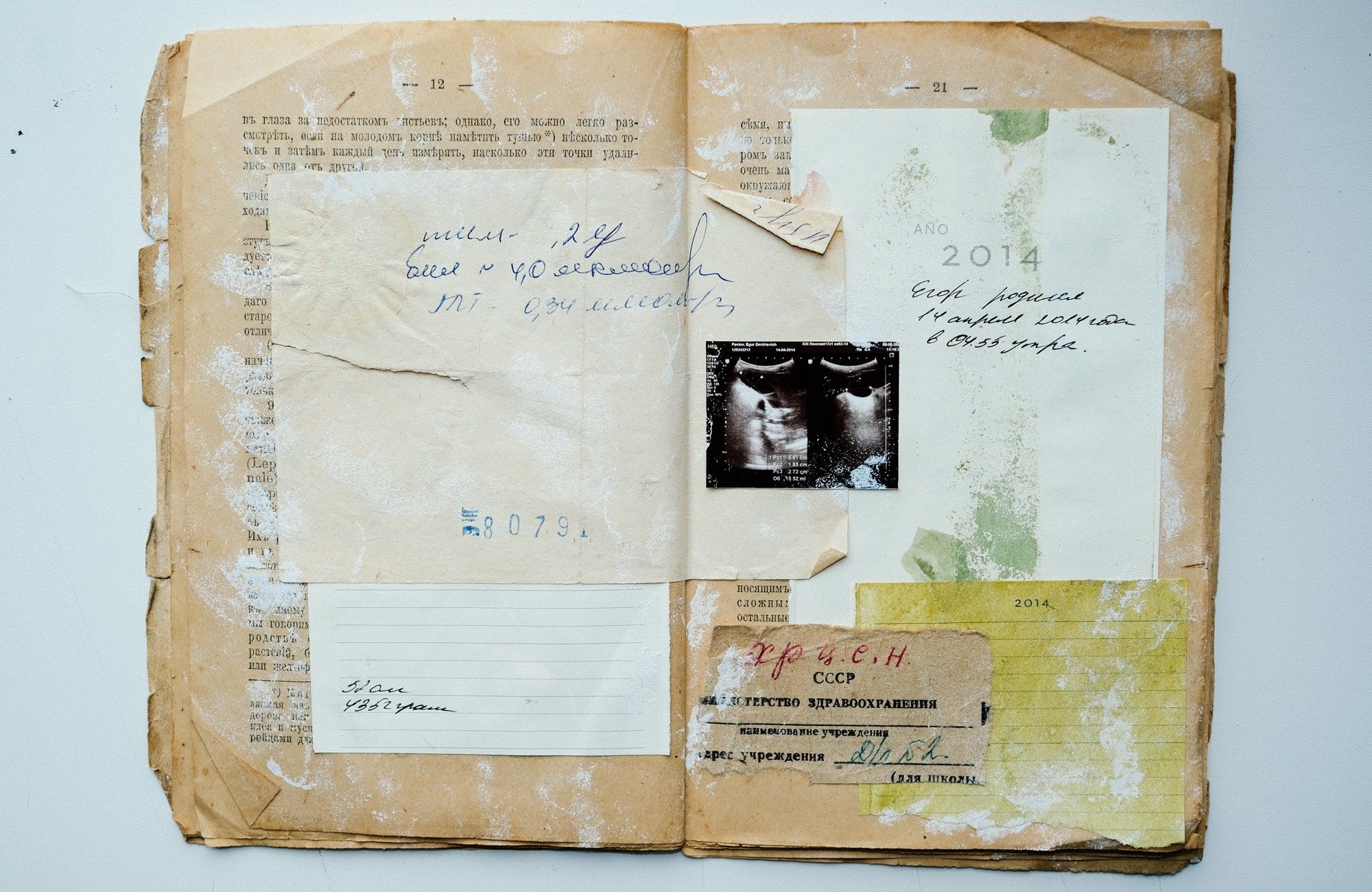 Familia Genus Exsiccata. Художница Юлия Павлова