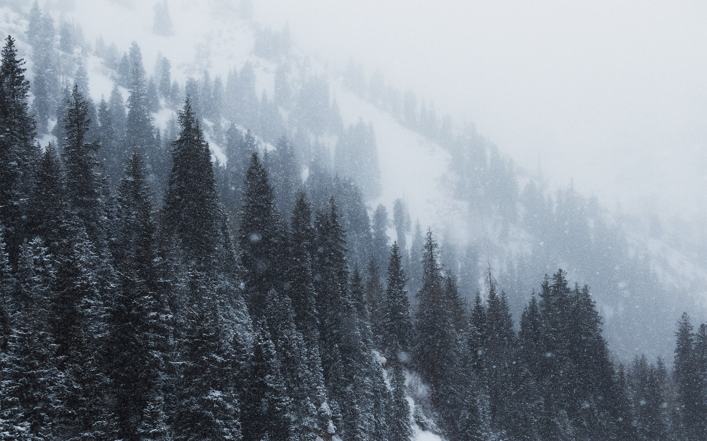 Жизнь. Фотограф Алматы | Весь мир — Никита Колодин