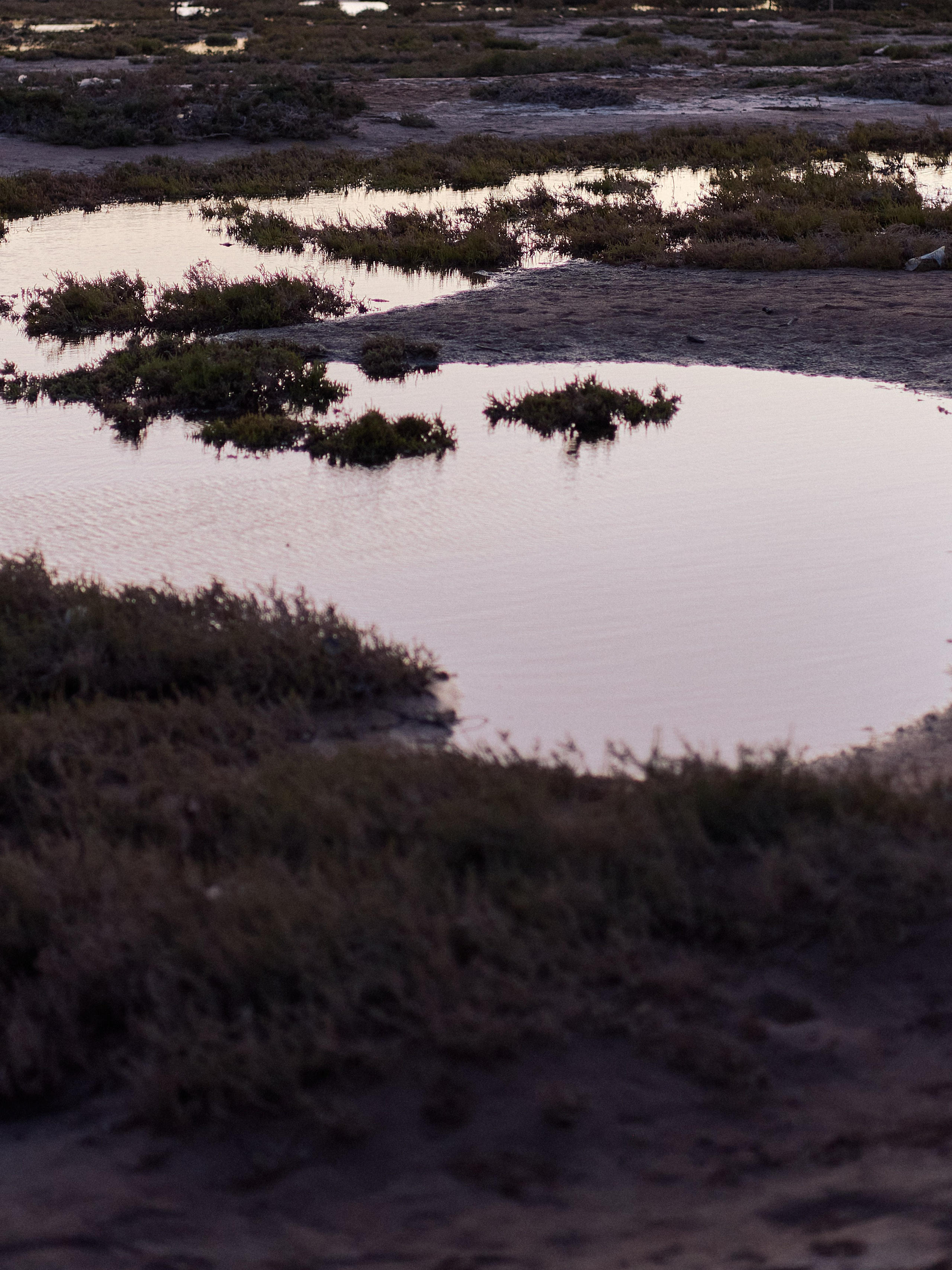 Другое 2. Jorgis Talè — photographer, kind person, teacher of arts and other mag