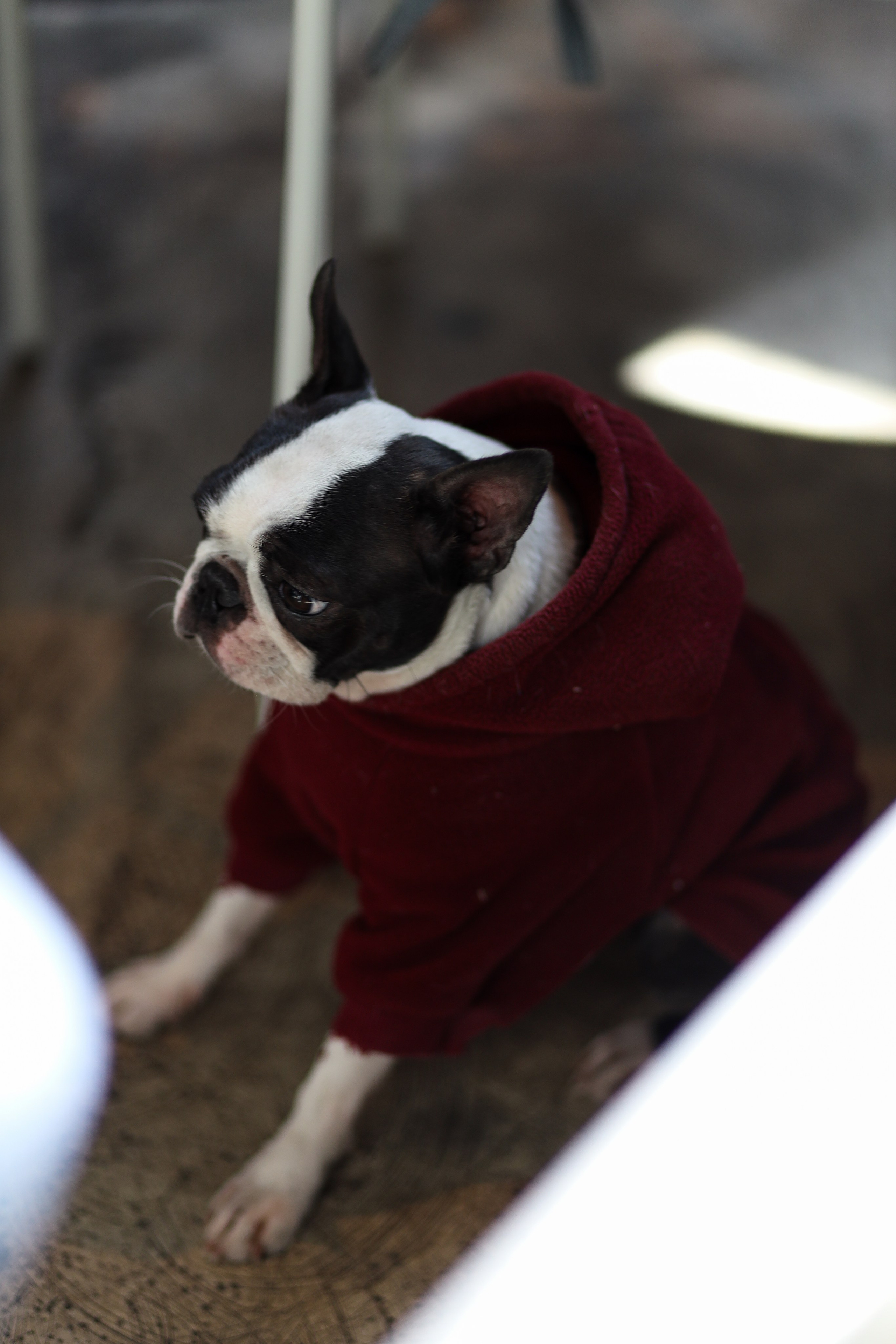 Gastrodvor 8 March. Дженбаз Павел — фотограф в Ялте