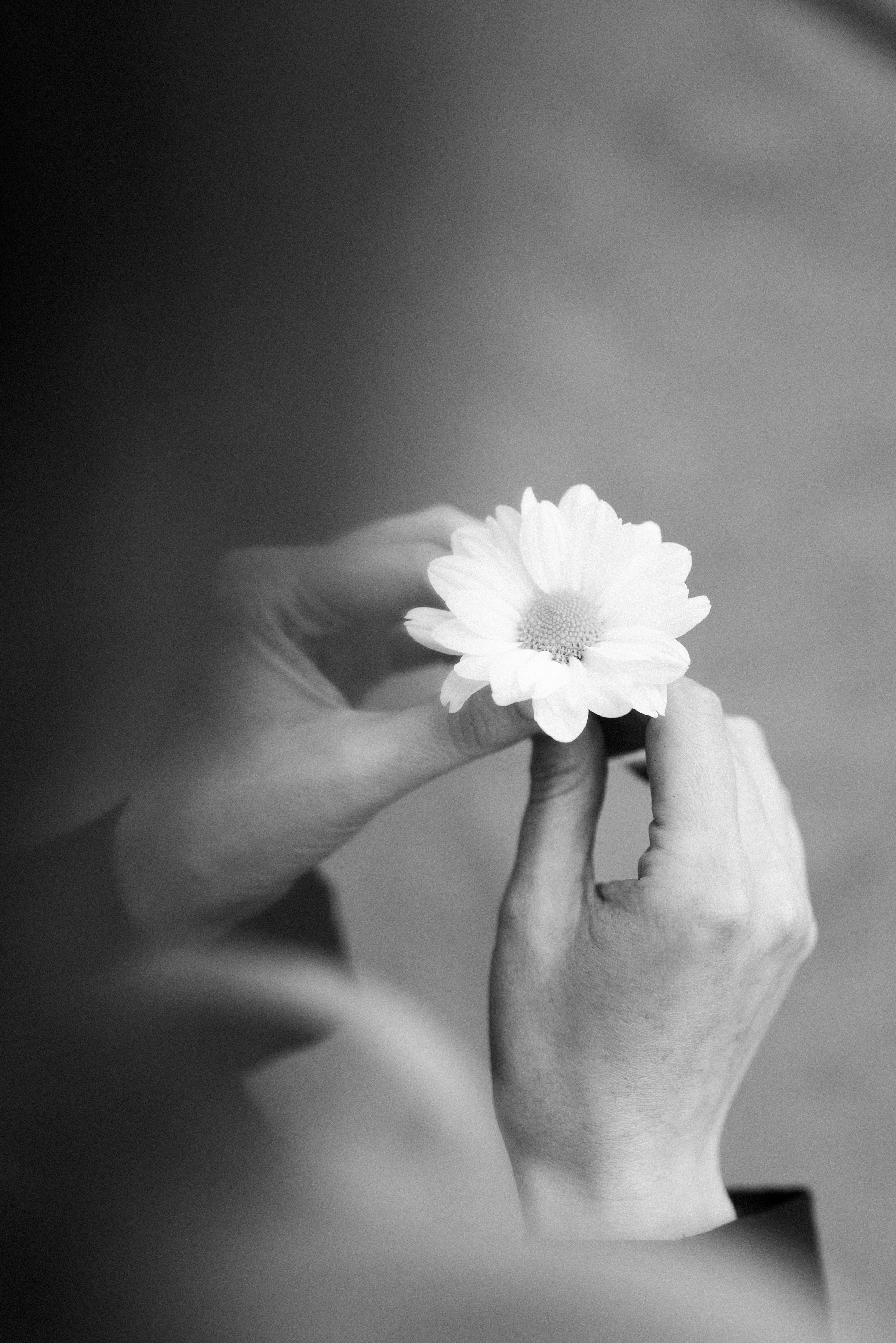 Алена. Я — Фотограф из Хабаровска