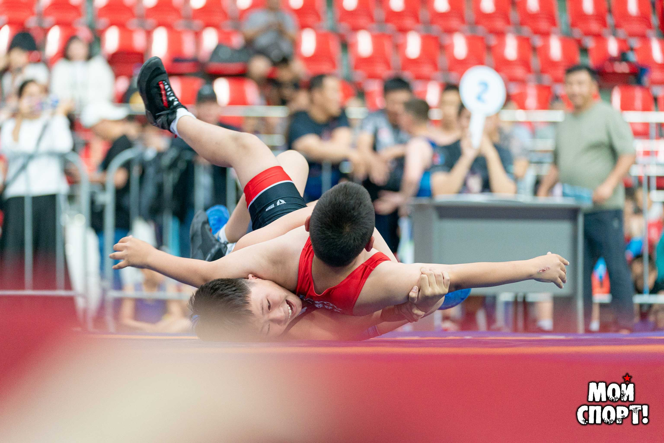 Международный, всероссийский и республиканский турниры по вольной борьбе среди юношей в честь П. П. Пинигина. Студия «Мой Спорт!» — все о спорте в Якутии