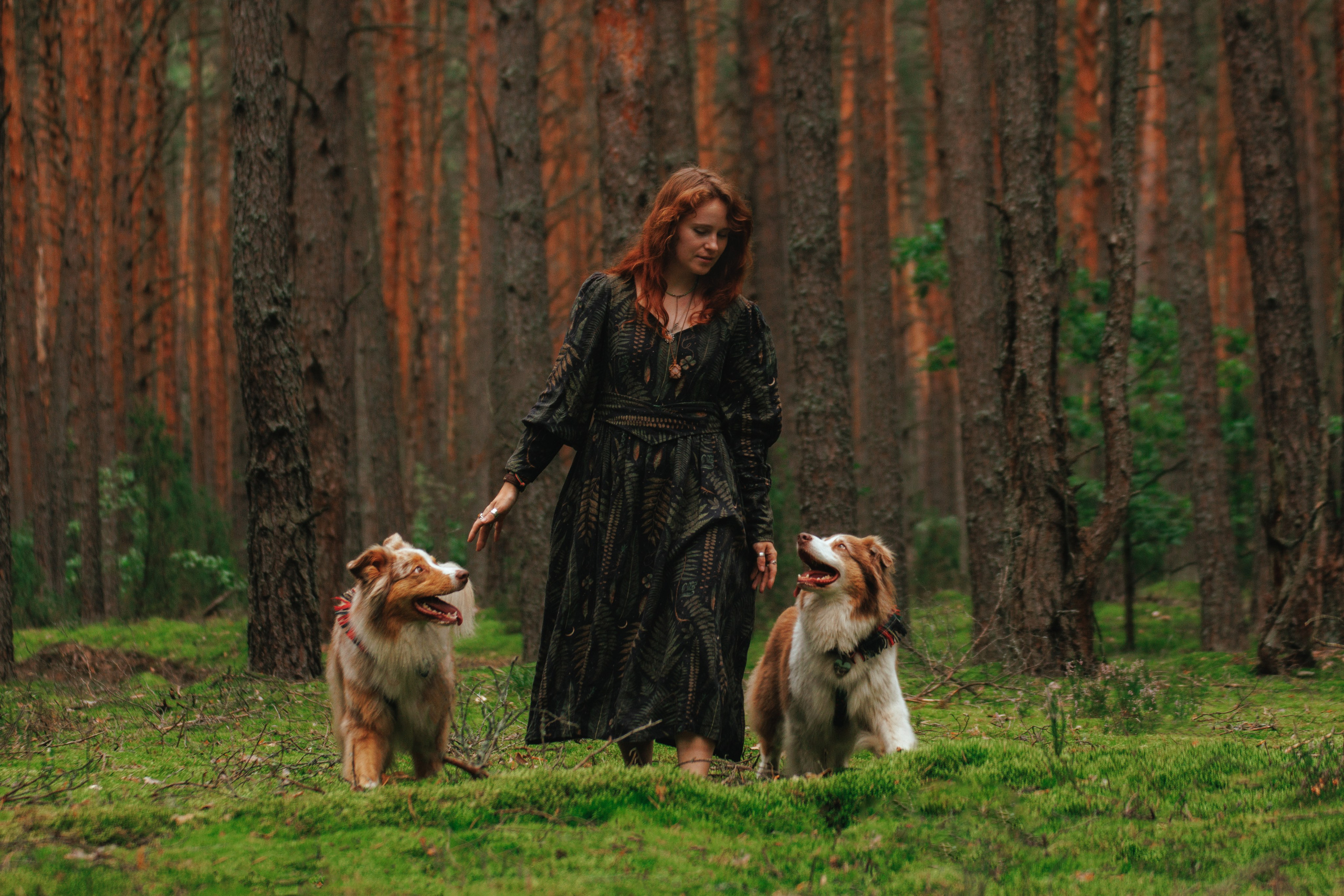 Волшебный лес с Тасей, Морошкой и Брусникой. Стас Соболь, фотограф анималист, репортажник, Москва