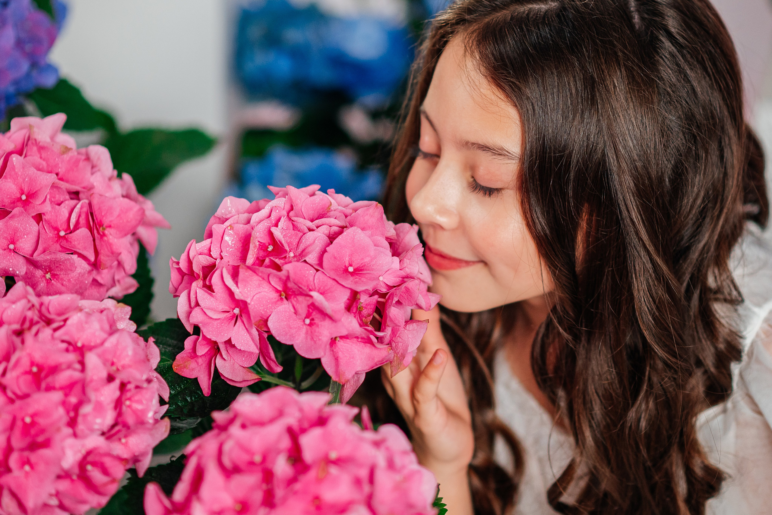 Вероника и гортензии. Семейный фотограф в Краснодаре