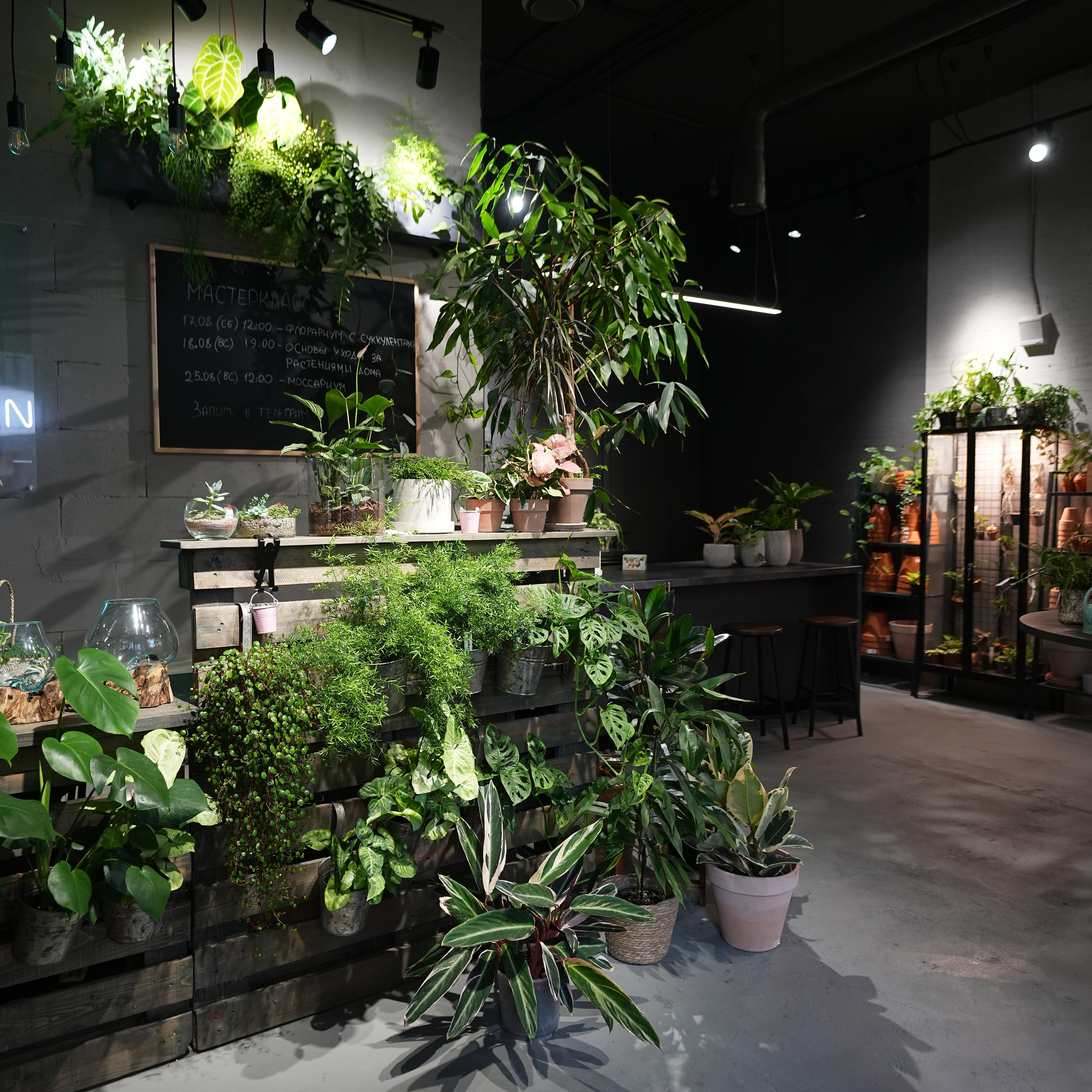 Интерьерная фотосъемка флористического магазина