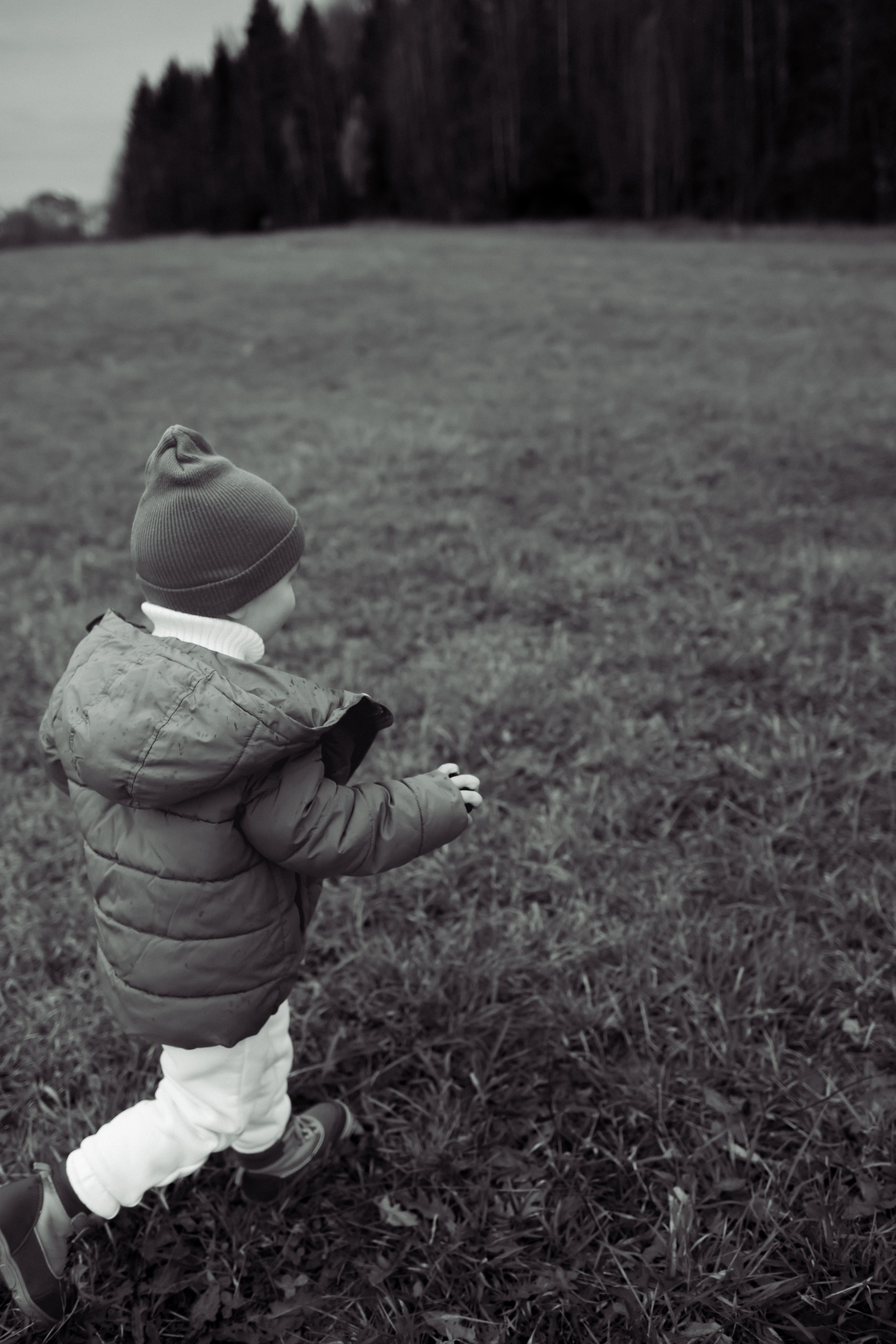 Осень, поле, дети. ФОТОГРАФ | Сыктывкар