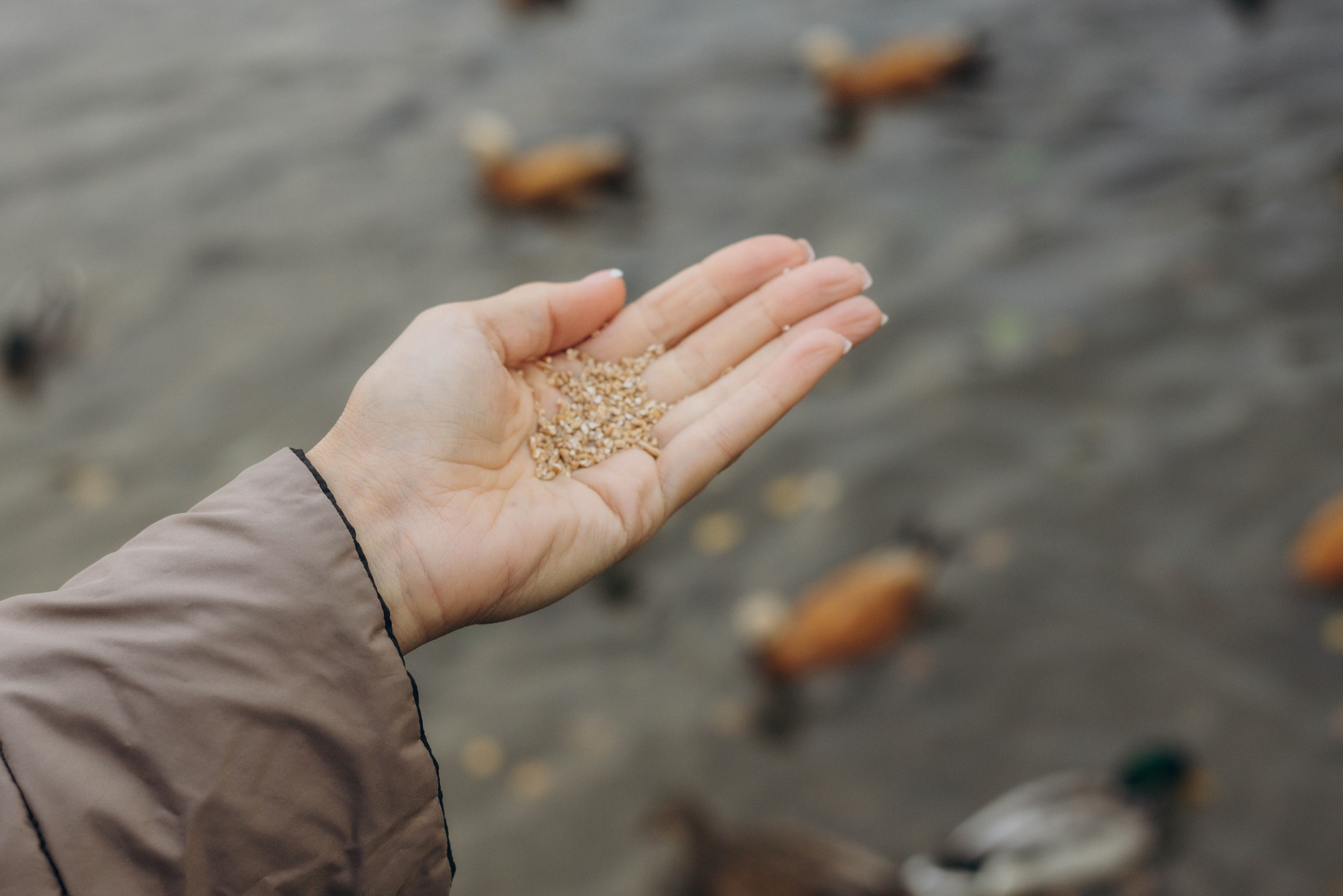 Прогулочная фотоссесия для девушки в парке. Семейный фотограф в Железнодорожном Масаева Елена