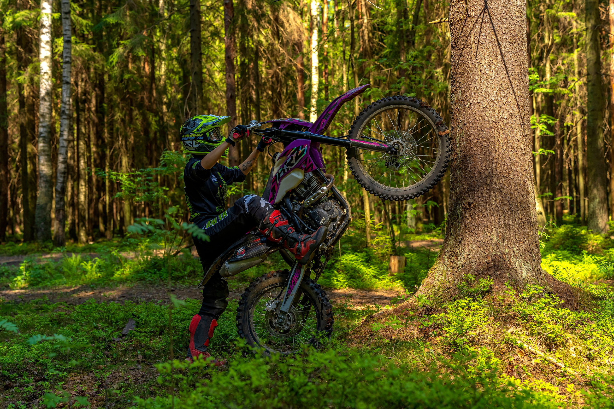 Катя Ли. Графический дизайнер Илья Левченко