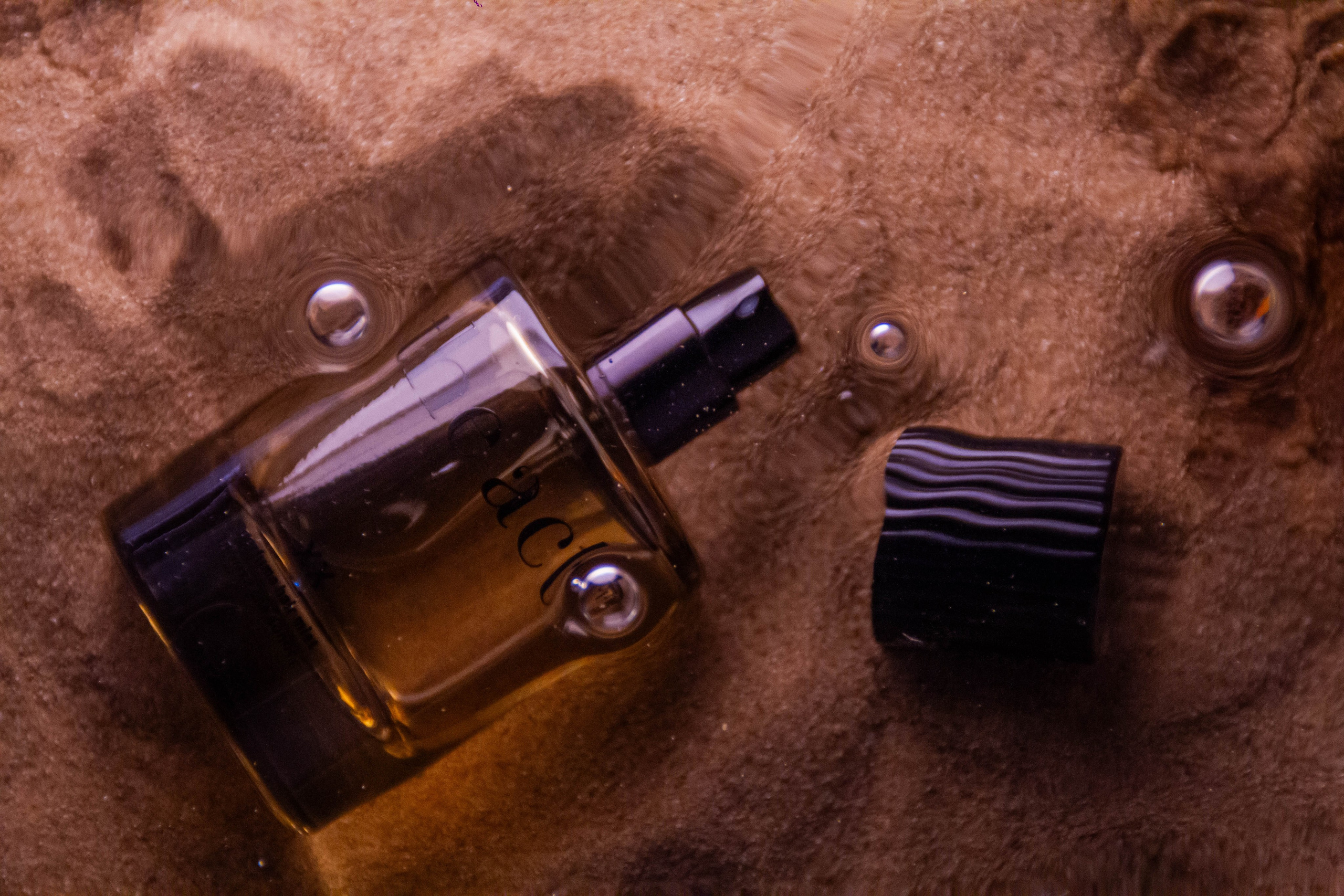 «Без названия»