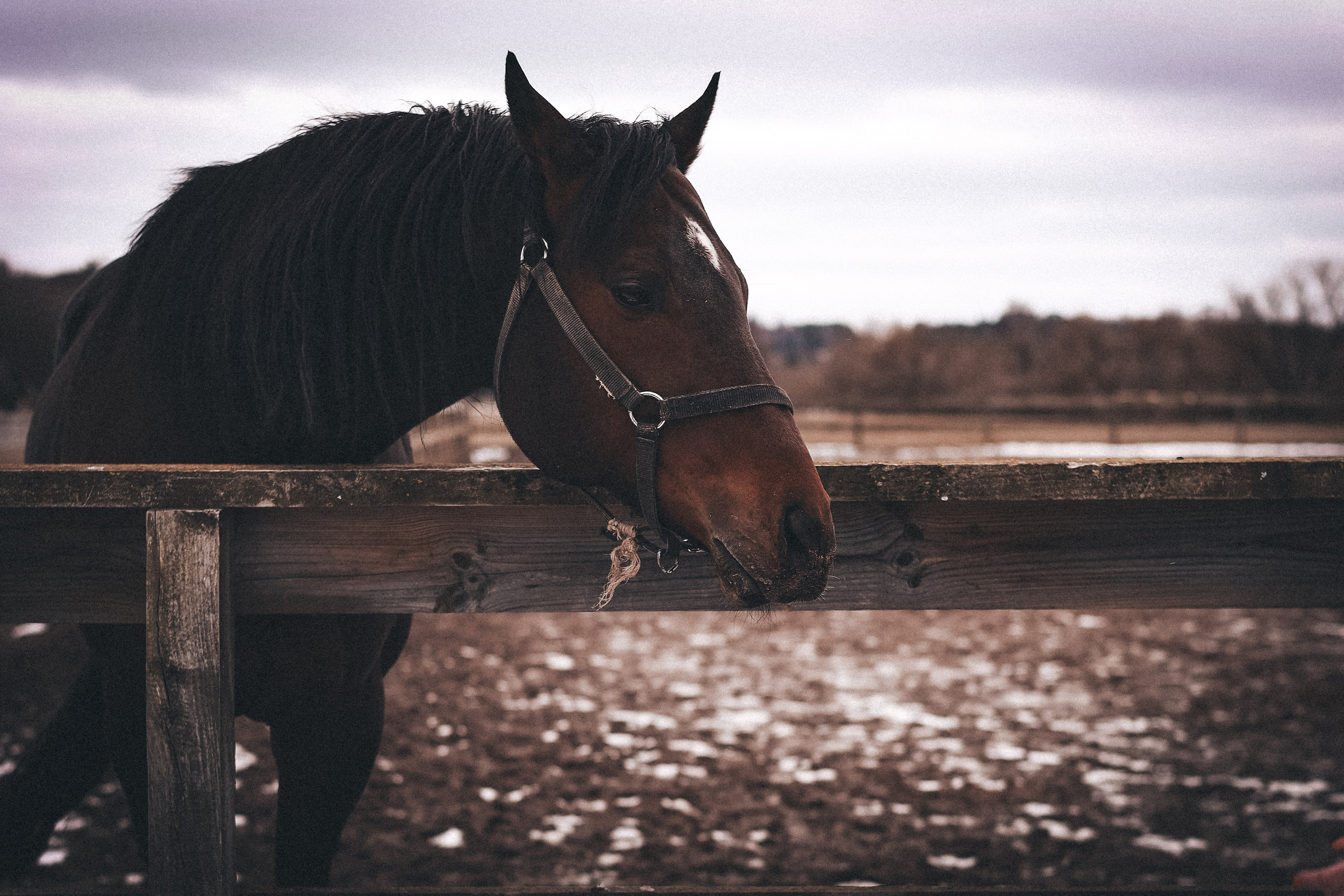 Мистическая…. Мария Бриль семейный и детский Lifestyle фотограф Москва