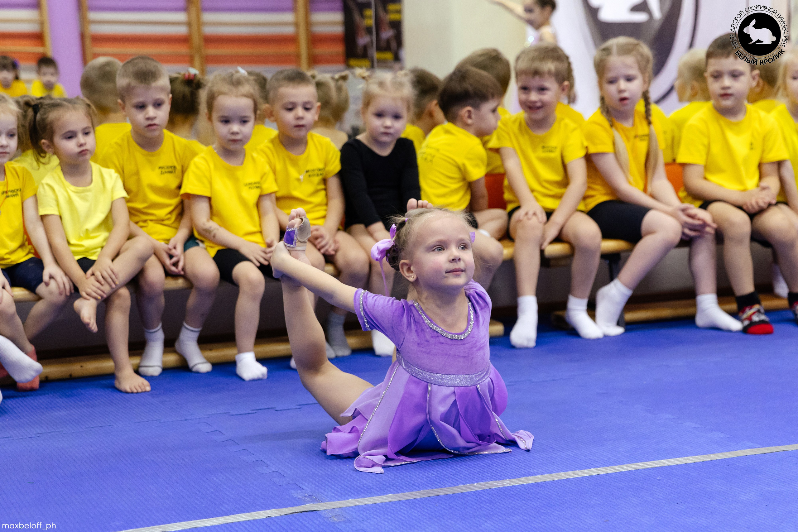 Белый кролик. Соревнования. Семейный фотограф — Макс Белогрудов