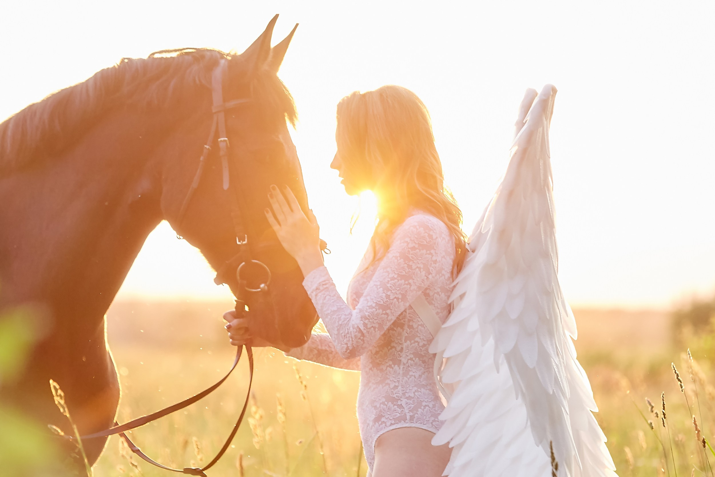 Фотосессия с лошадьми Фотограф Михаил Семенов