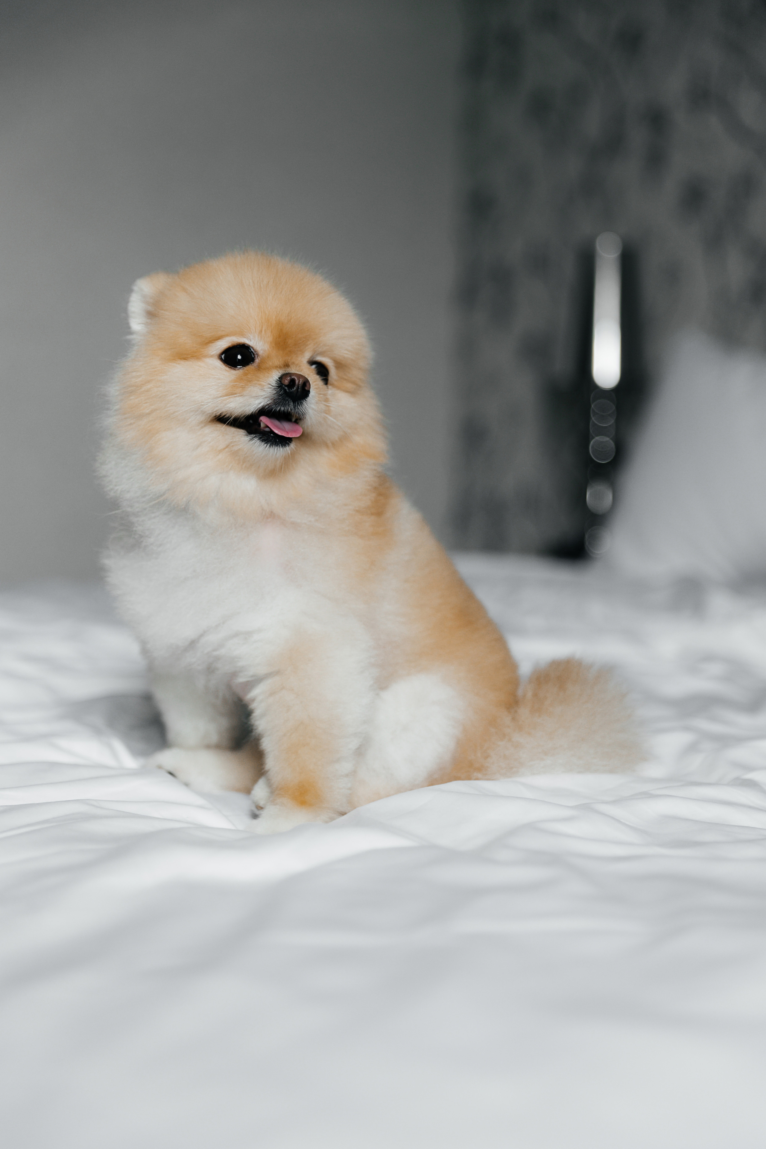 Фотограф на свадьбу Ростов-на-Дону. Красильников Евгений — профессиональный фотограф в Ростове-на-Дону