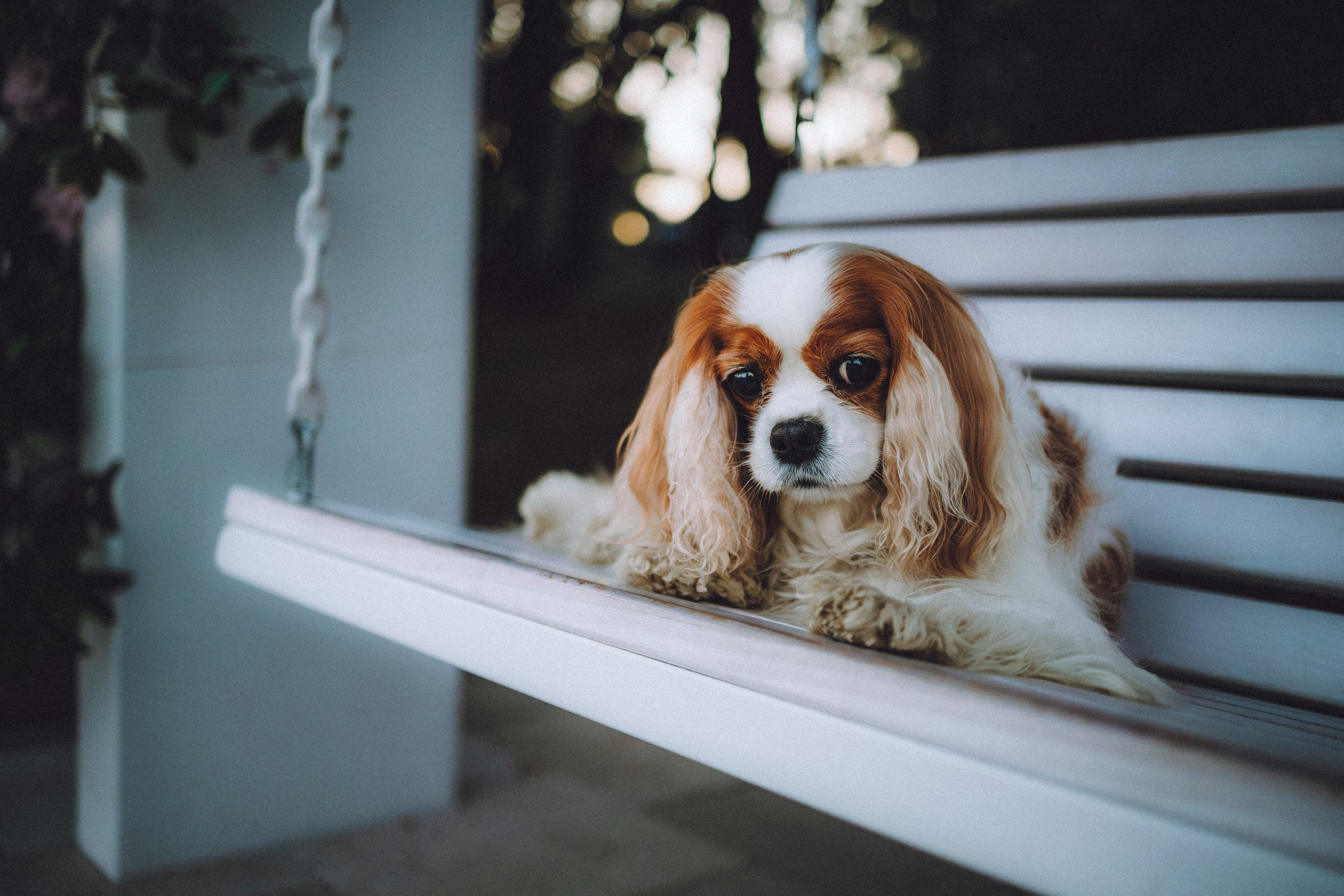 Наташа и Вики