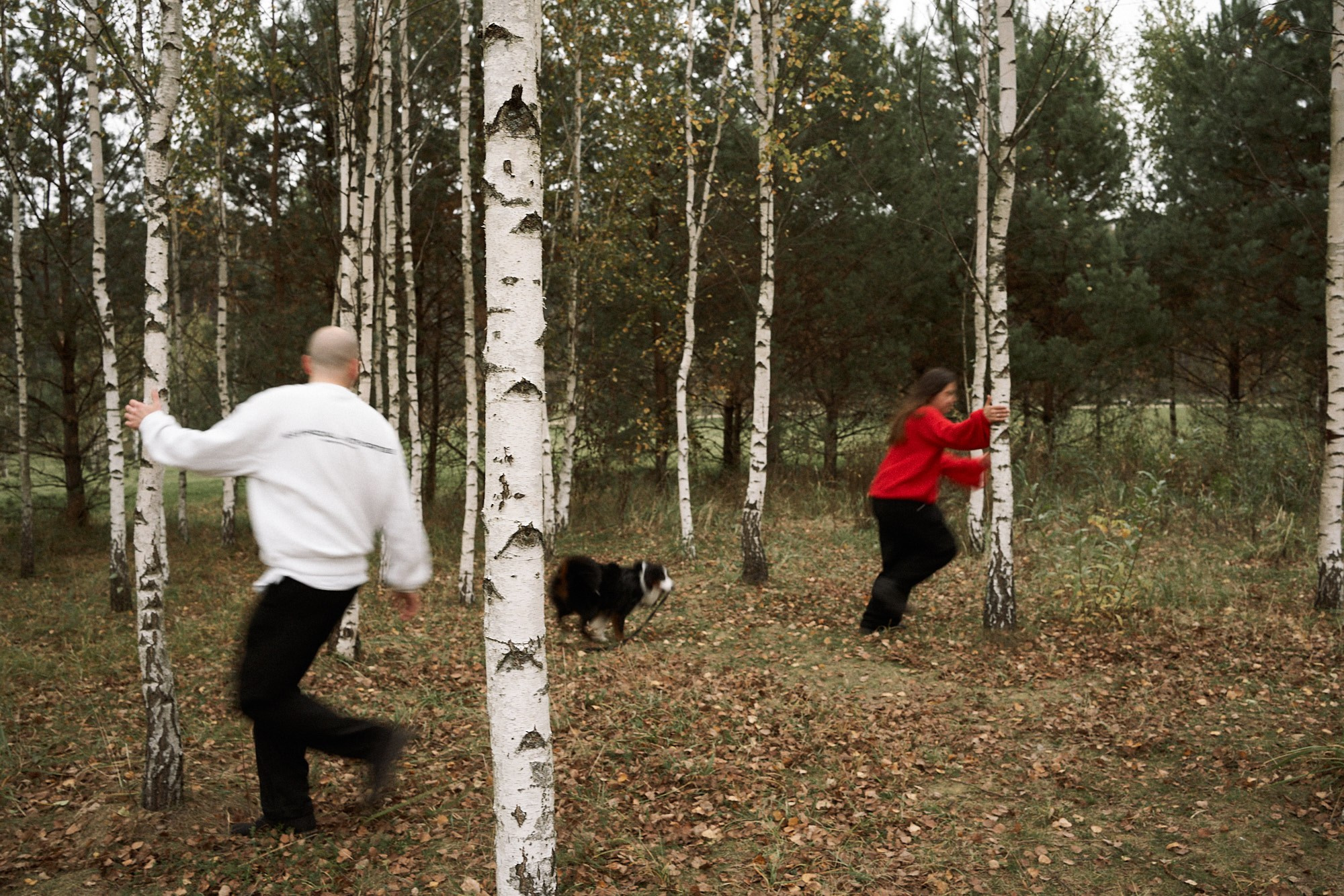 Осенью любить. Фотограф анималист Москва Дарья