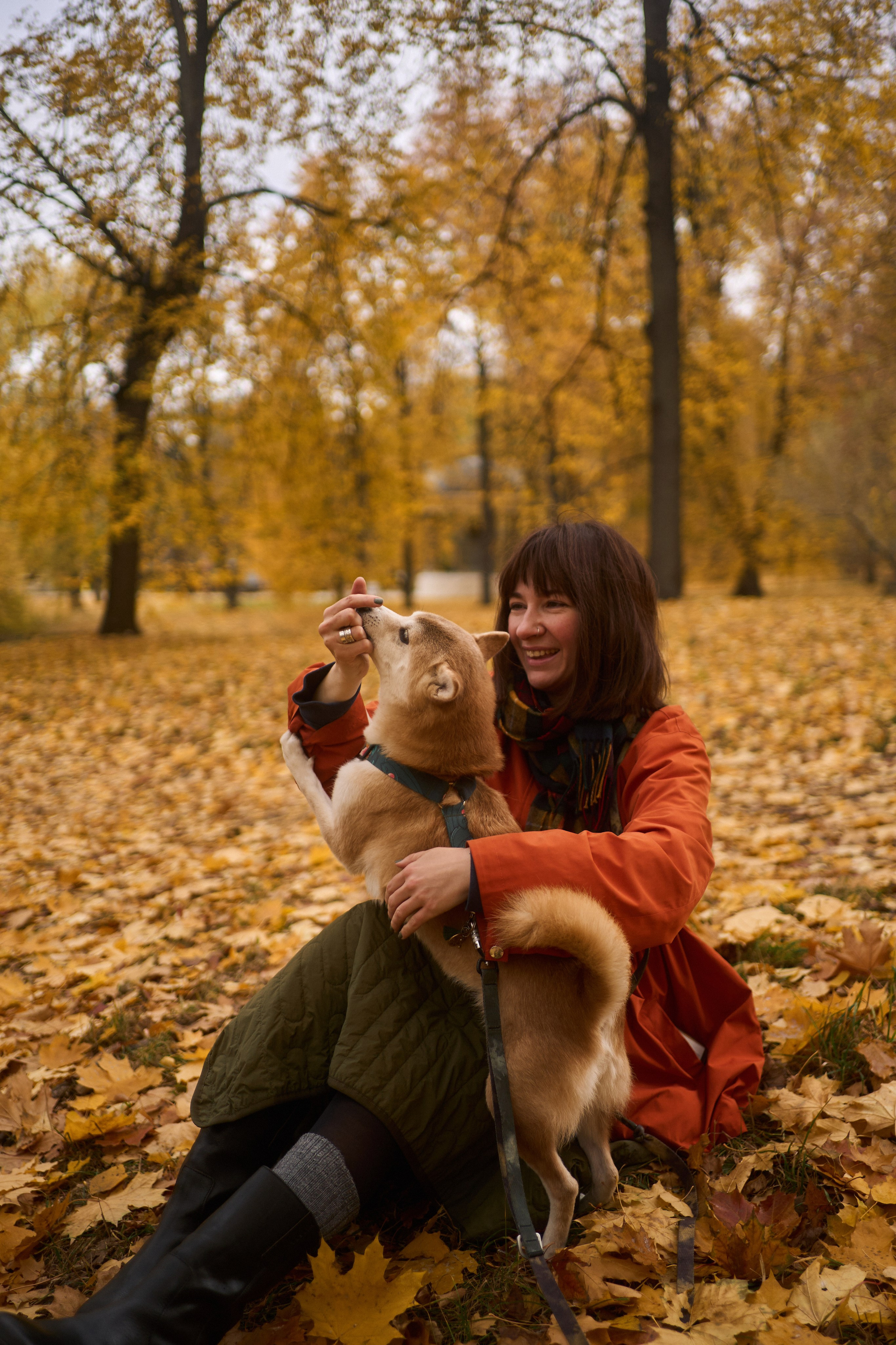 Осенние Уши. Фотограф анималист Москва Дарья