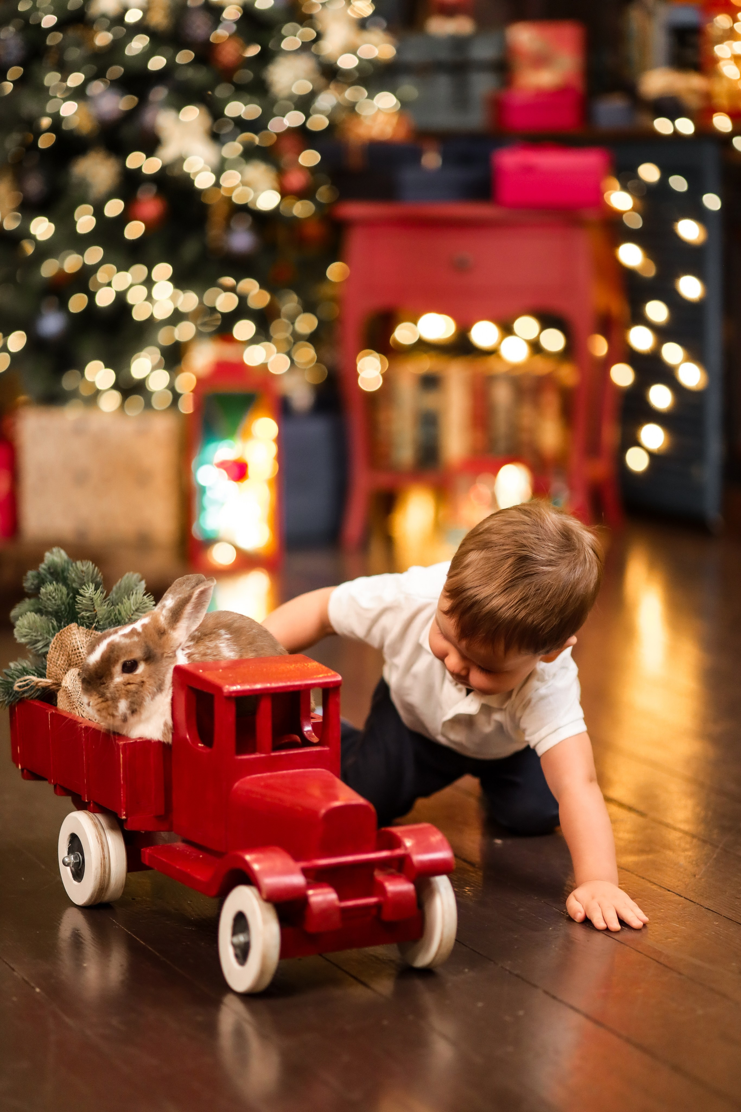 Марк и Валерия. Kharchenkotatianaweddingphoto