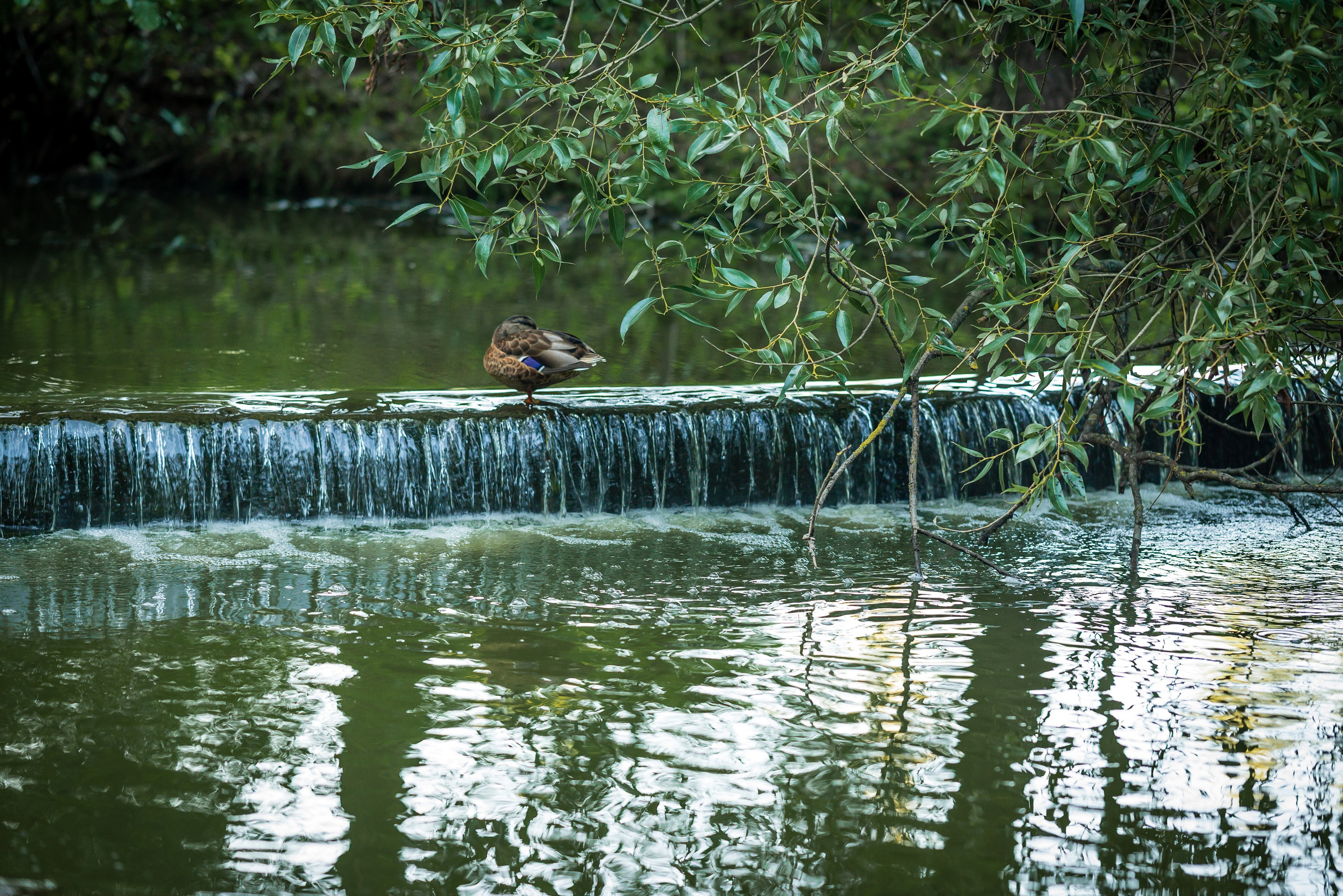 Места. Фотограф в Минске Дарья Кончакова