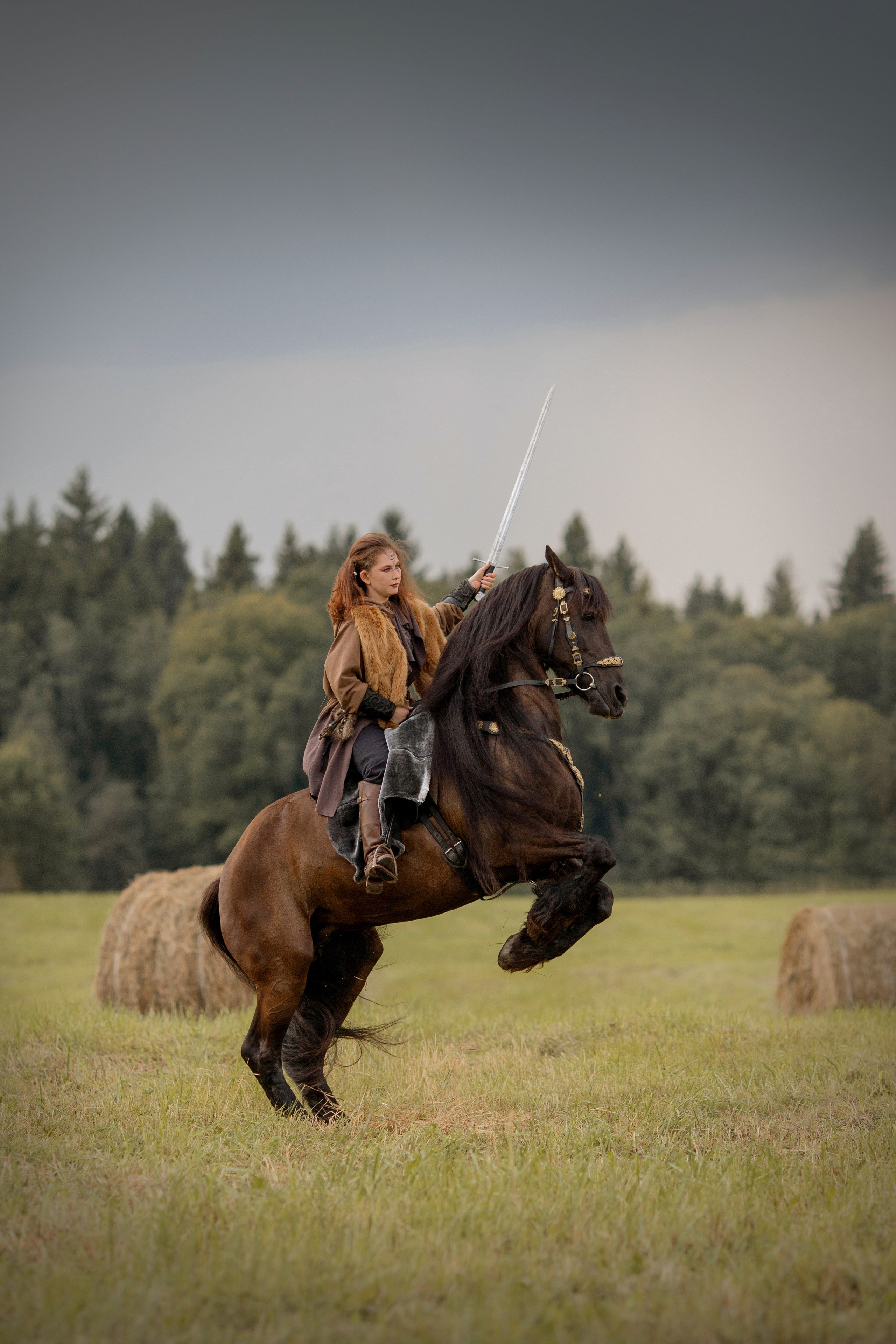 Фотосессия с лошадью в стиле викингов