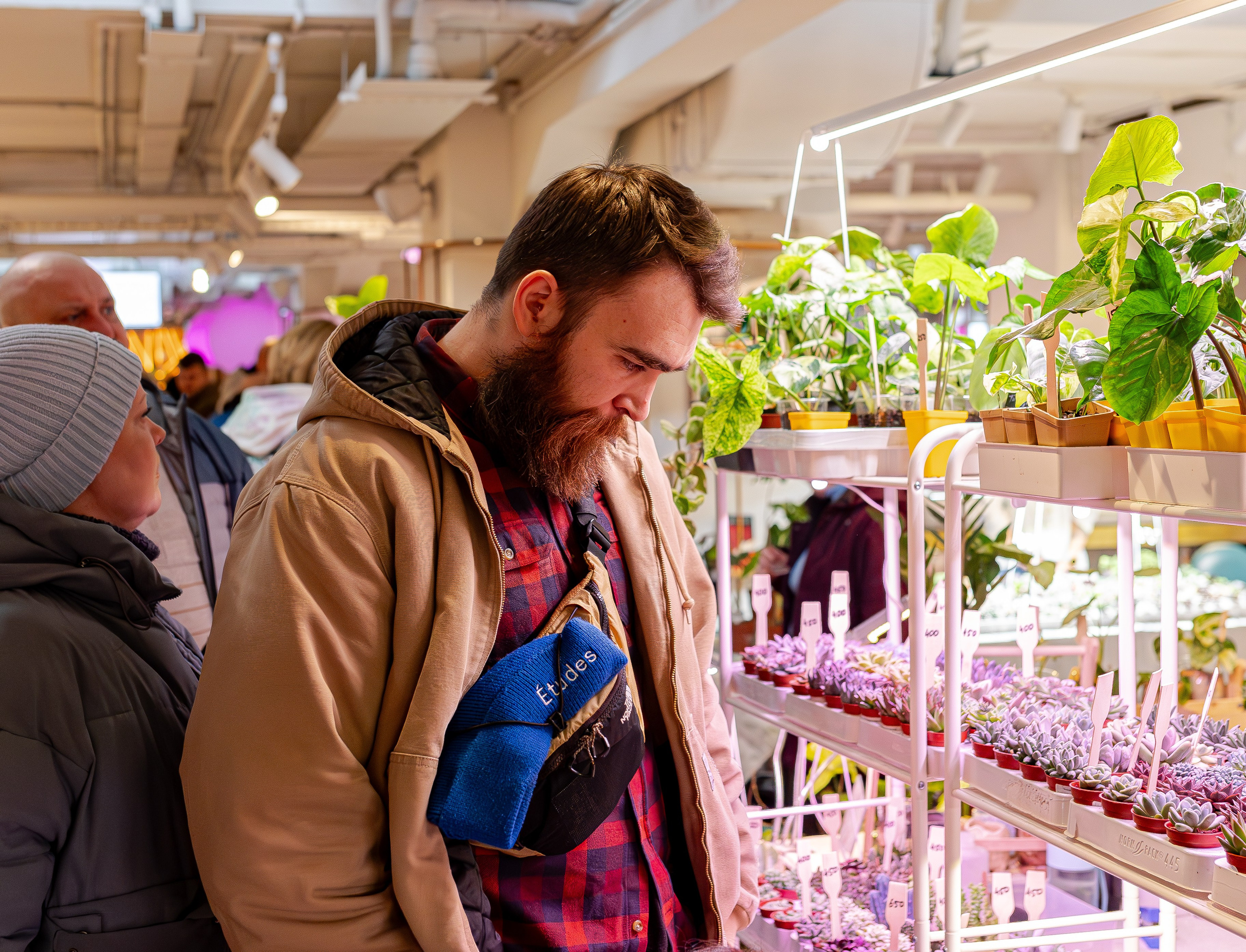 Growbox 1–2 марта. Александра Куликова фотограф, Москва