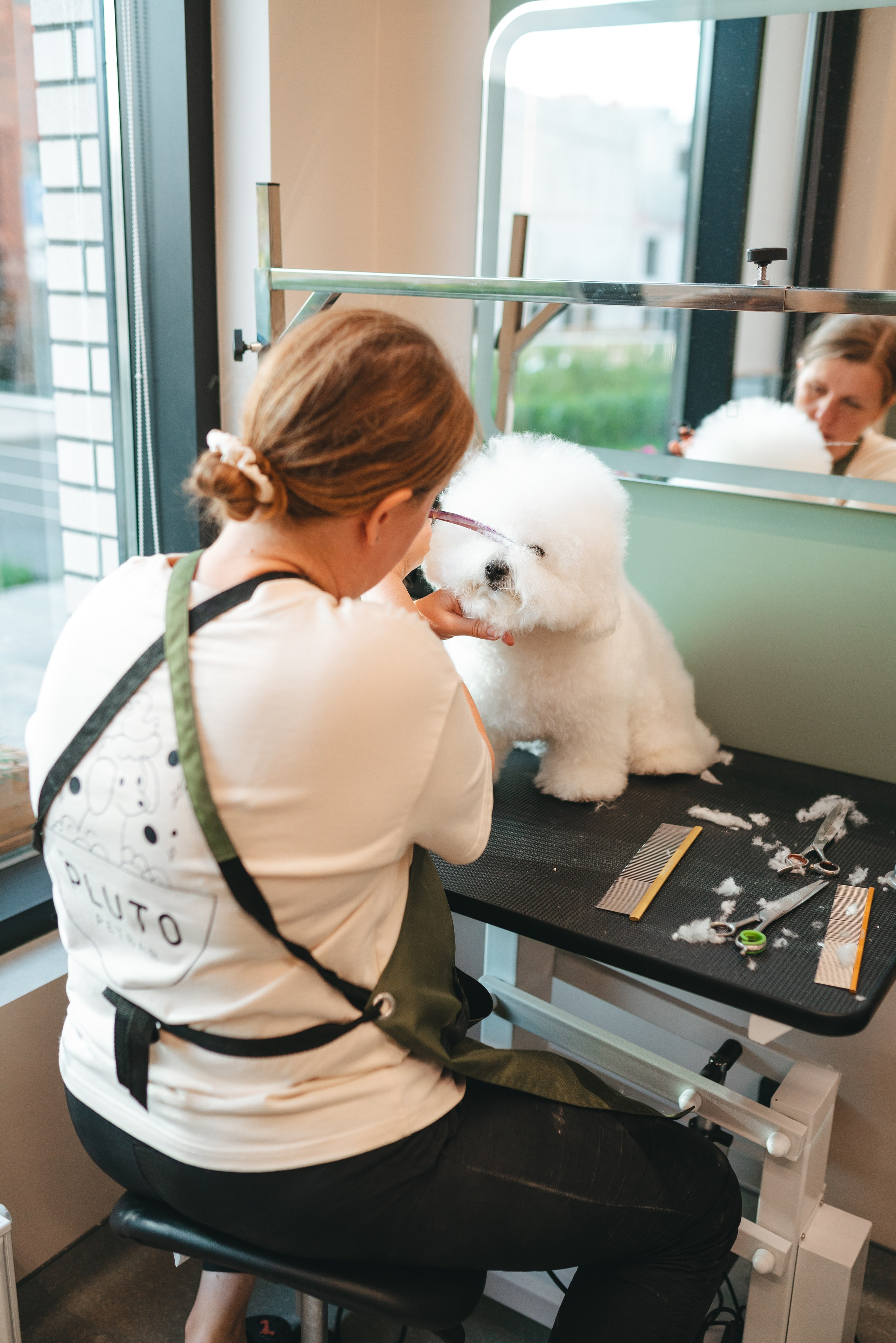 Груминг — салон. Фотограф анималист Осипчикова Мария