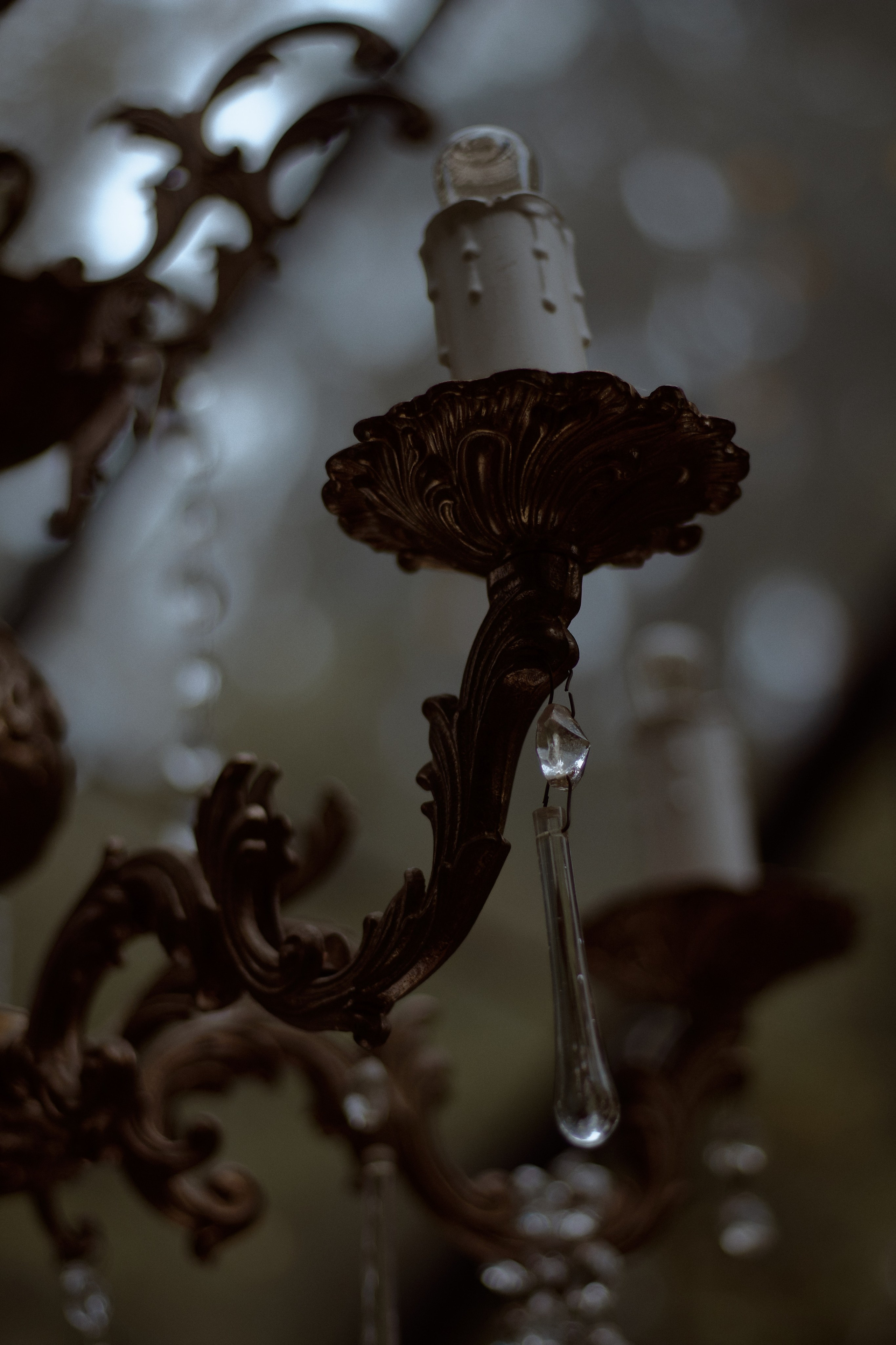 Стеклянная Оранжерея. Фотограф лавстори Москва/МО Приятелева Ангелина