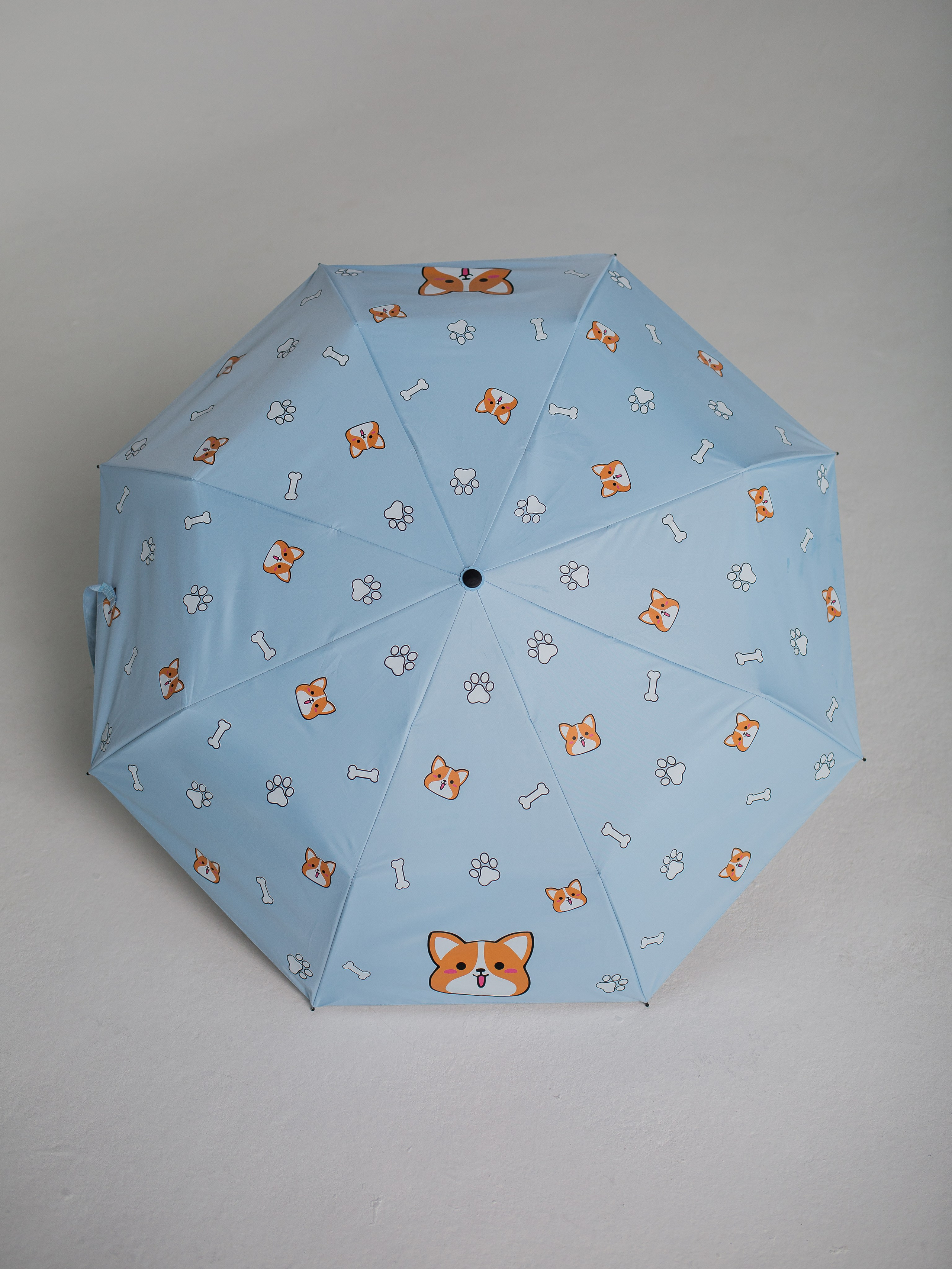 Зонты. Семейный фотограф Николаева Ольга