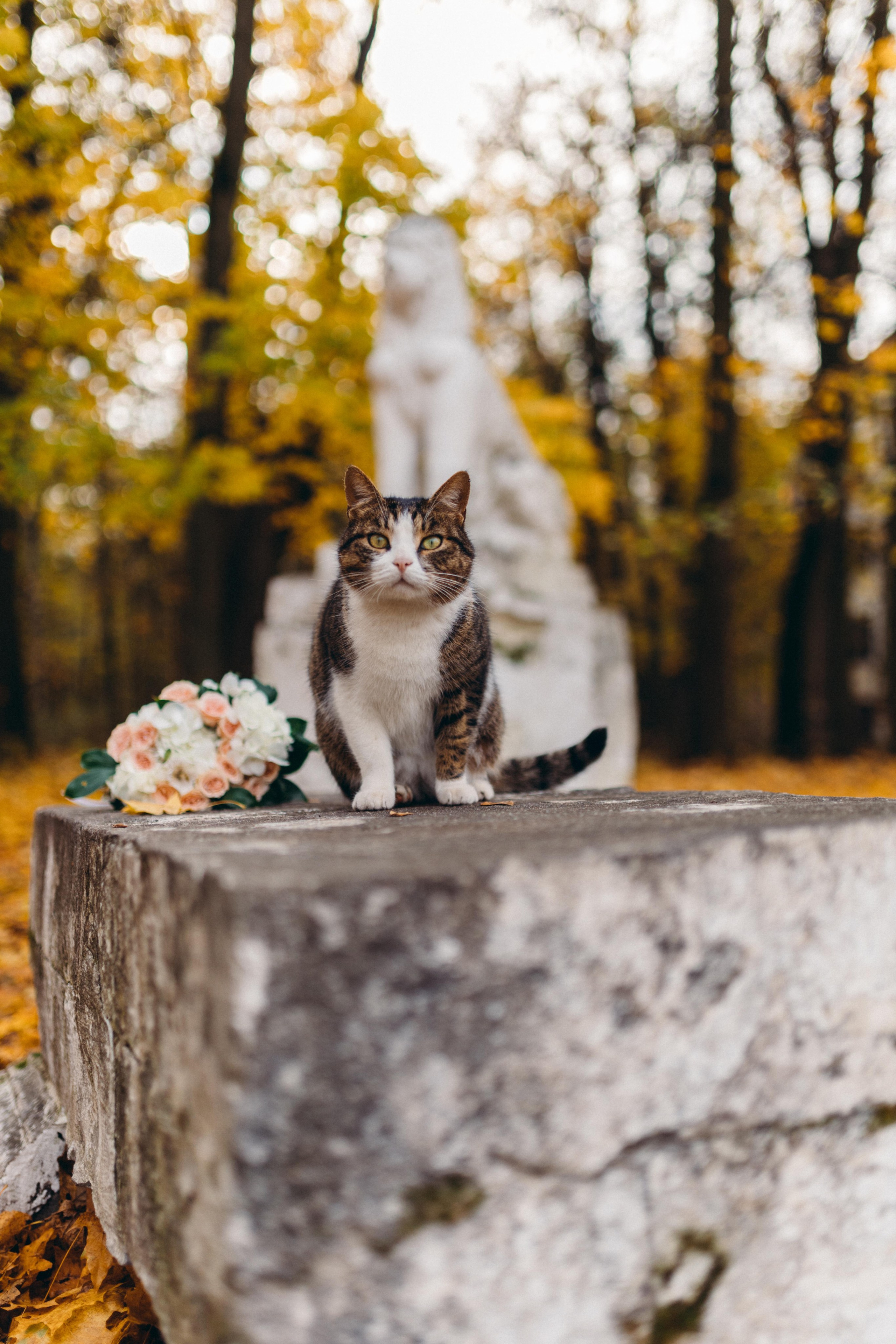 P&A. Свадебный фотограф Мария Железняк в Москве