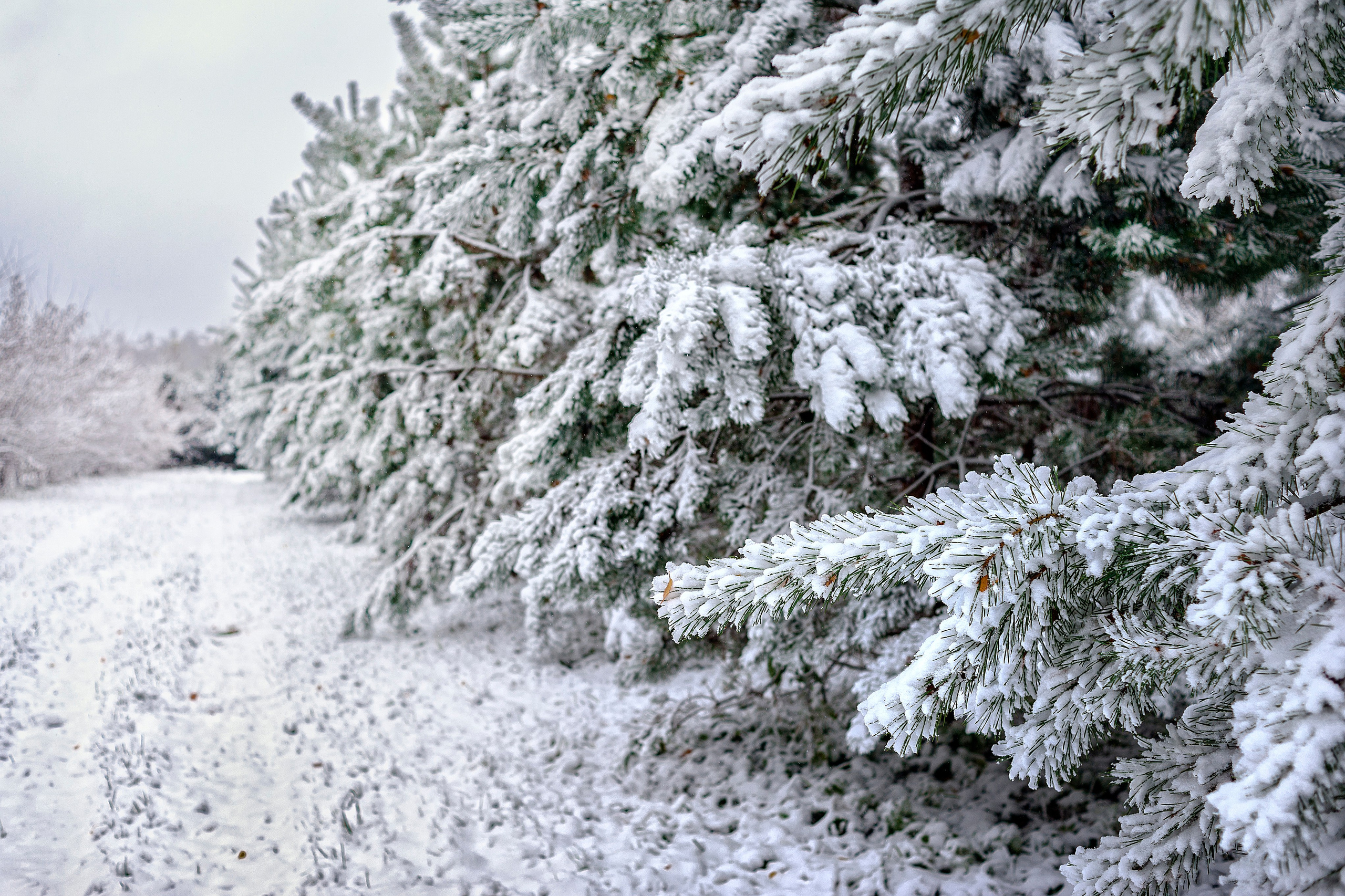 Пейзажный альбом 1. Борис Руненко. Пейзажный и travel-фотограф