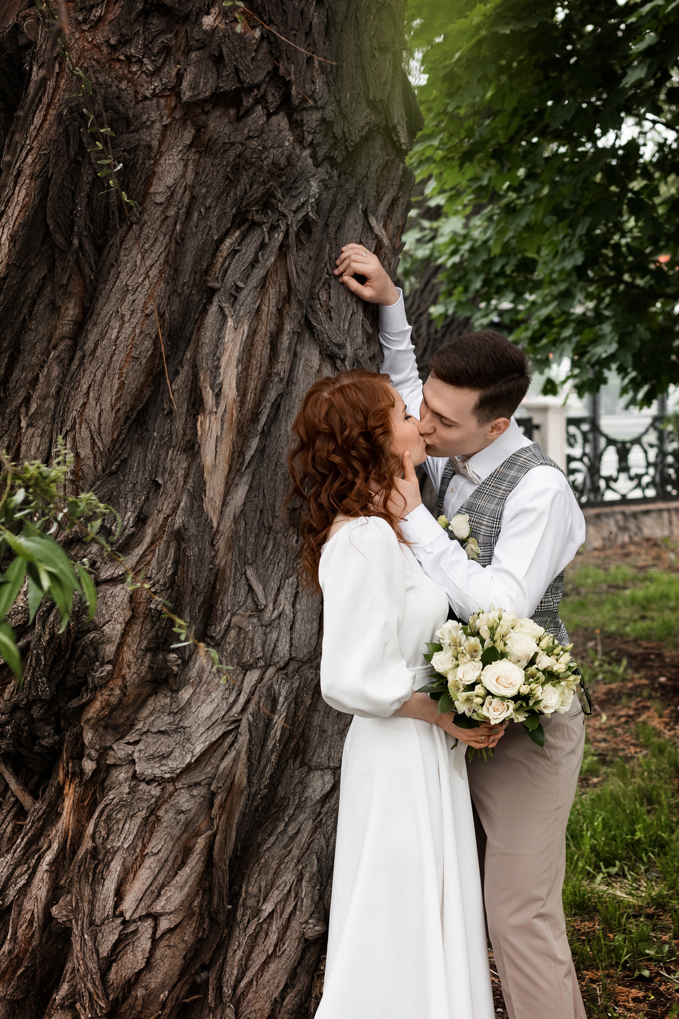 Молодожены на свадебной фото прогулке целуются у широкого ствола дерева