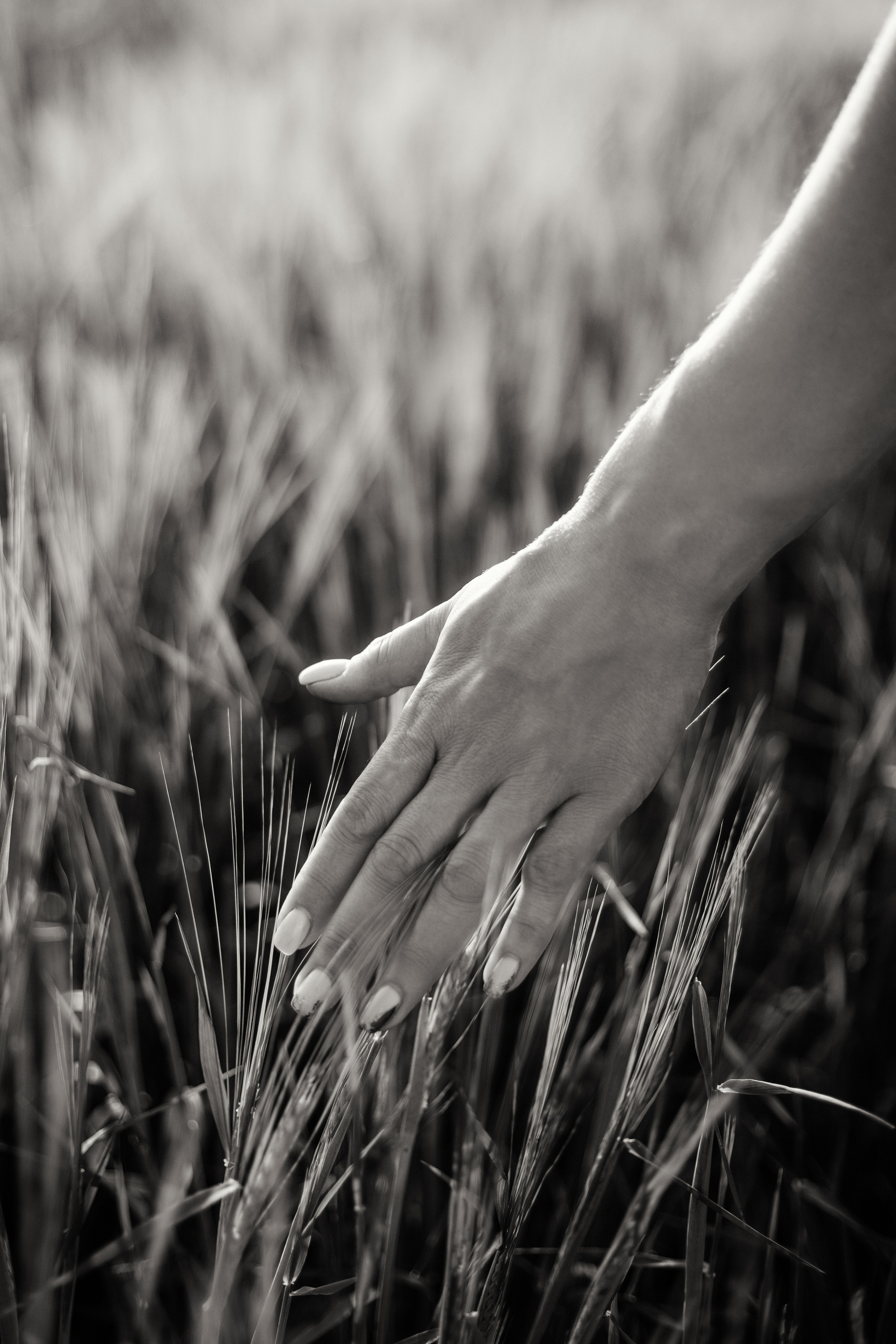 Поле. Юлия. Август 2023 г. Фотограф Пермь. Свадьбы. Семья и дети, школа, д. сад. Фотокниги