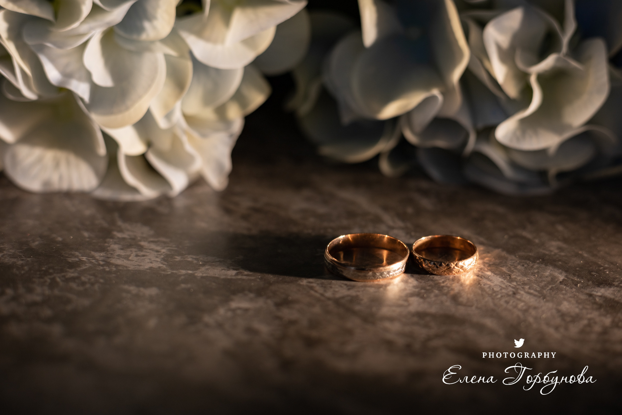 кольца обручальные на фоне гортензии на фоне цветов. с подсветкой