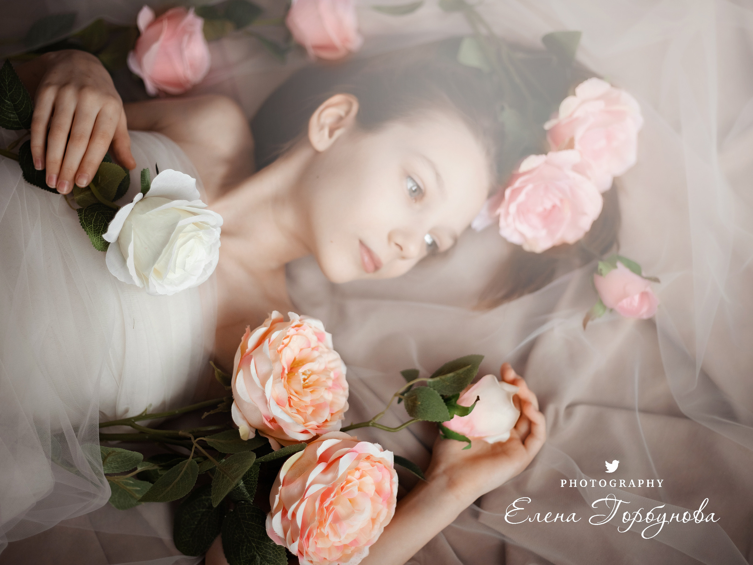 девочка подросток в студии в фатине с розами с цветами позируем. нежная детская фотосессия 